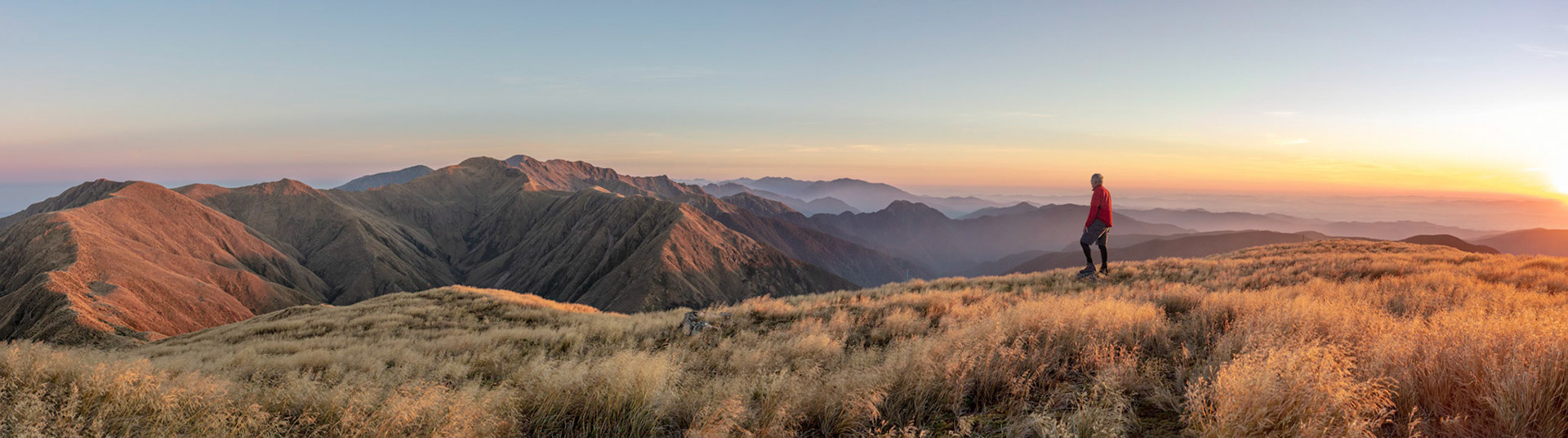 Mt Alpha, Tararuas