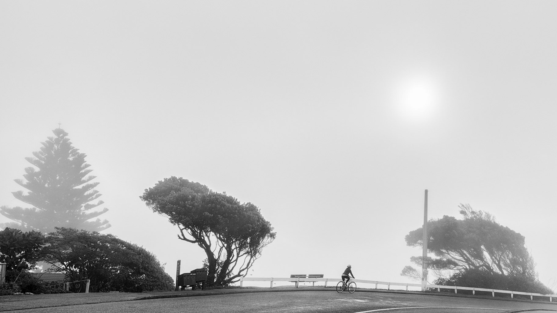#9: Smothered by fog A thick, damp fog rolled in from the sea yesterday, obscuring the sun and the outside world and imparting a wonderful stillness.