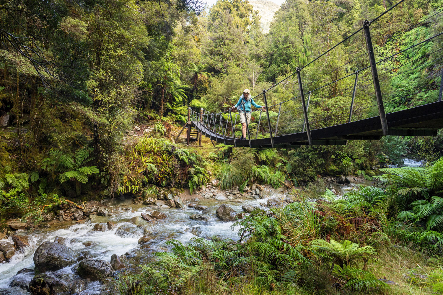 Gorgeous, verdant rainforest greeted us from the moment we left the carpark. Here is the swingbridge over Smoke Ho creek.