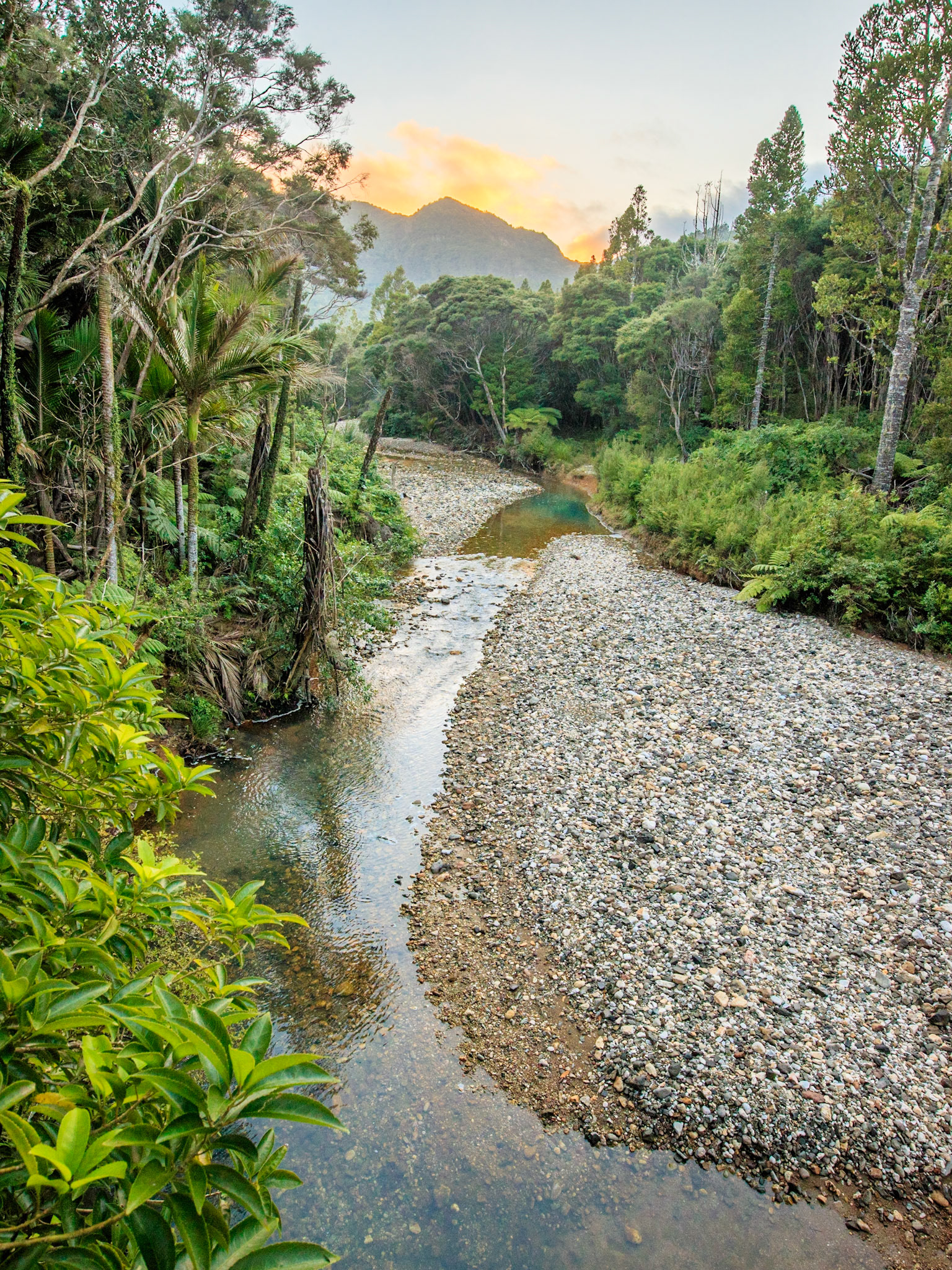 Kaiaraara Stream, Aotea Great Barrier Island