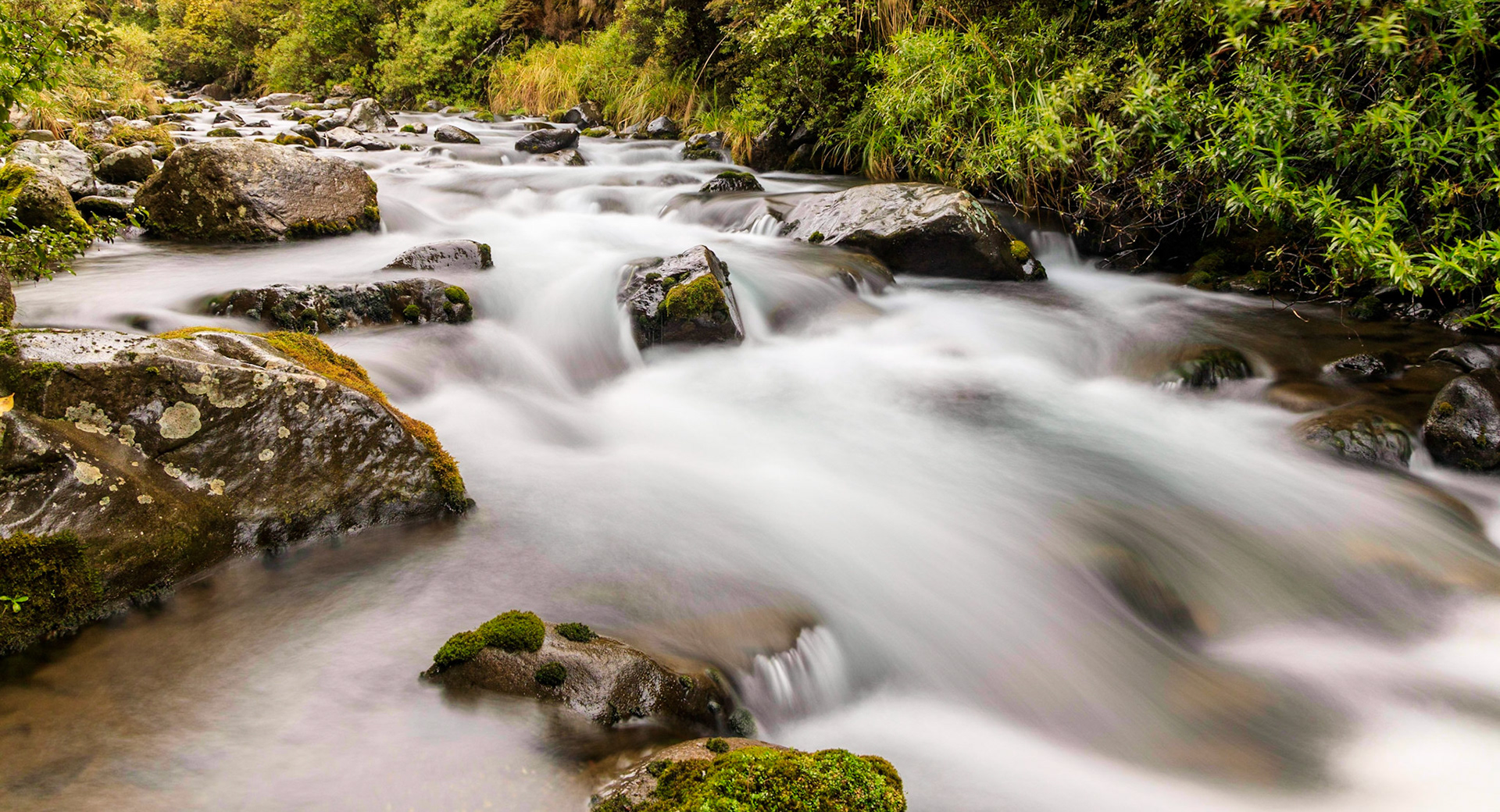 Whakapapanui Stream, Tongariro NP