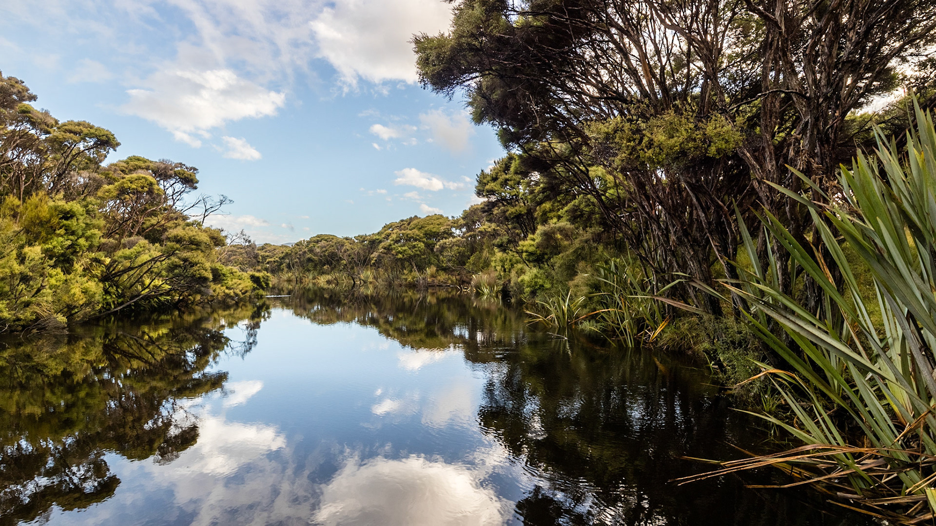 Freshwater River, Rakiura NP