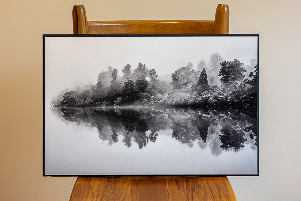 Trees in the mist, Lake Alabaster
