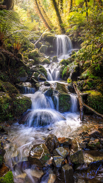 West Coast waterfall: A gentle waterfall on the first day of the Paparoa Track