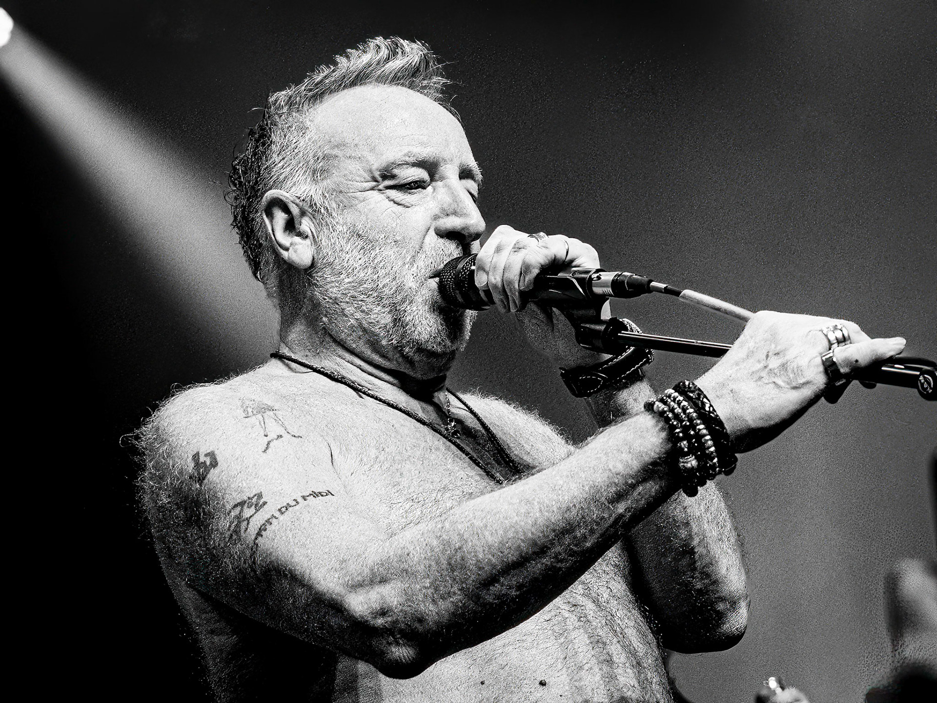 Peter Hook - Peter Hook and the light
