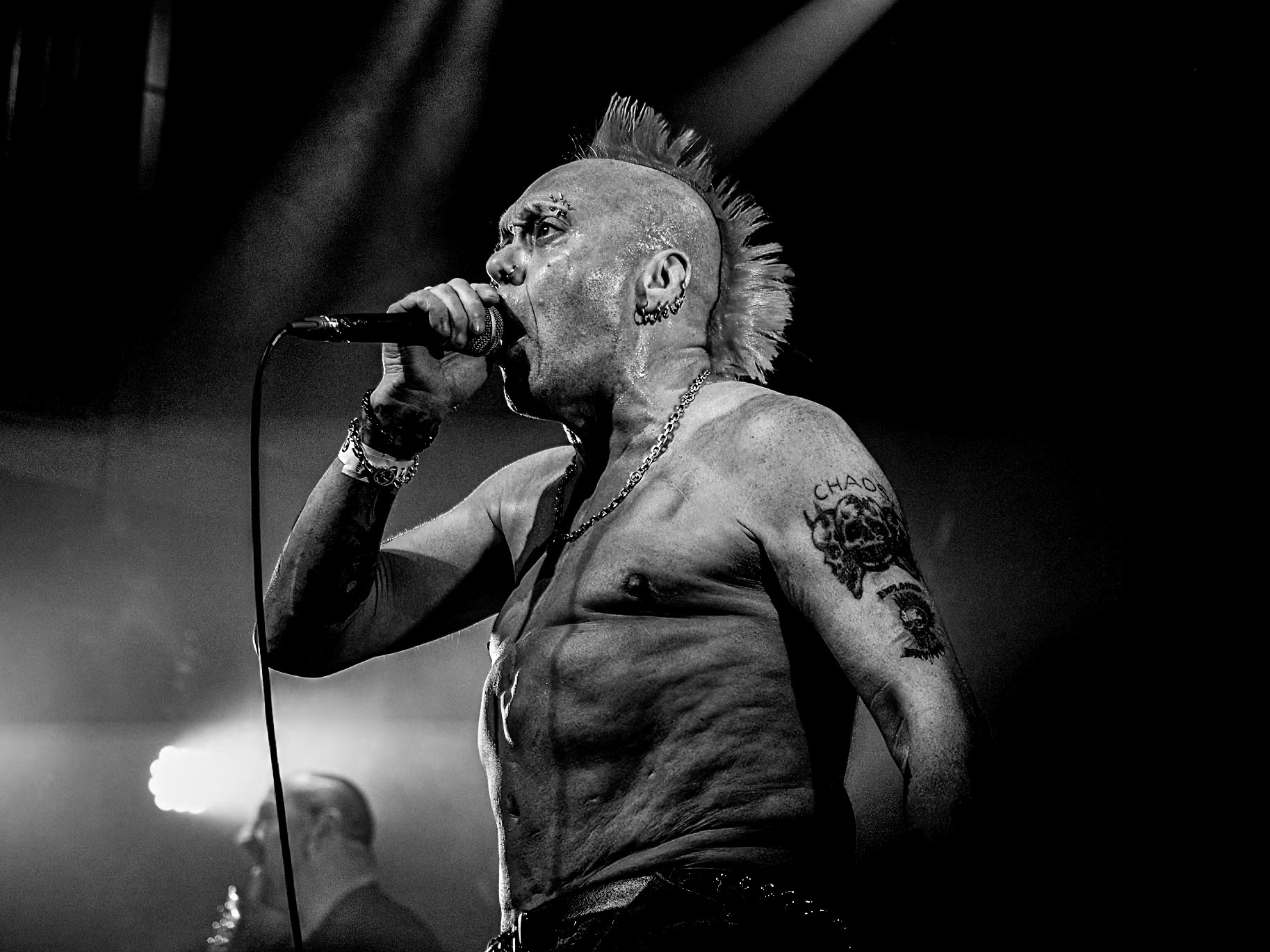 Wattie Buchan - Thee Exploited