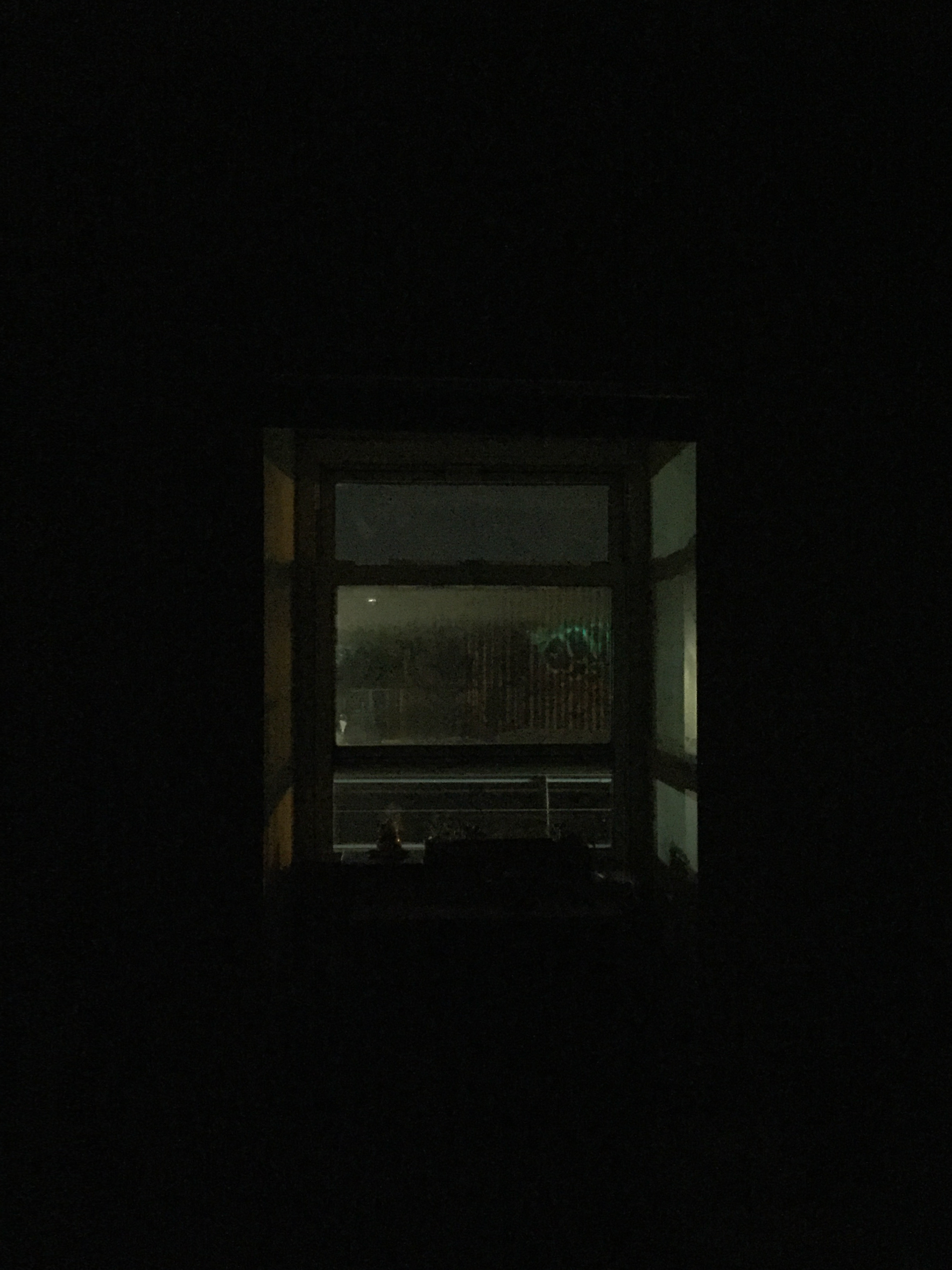 INSIDE (6) / Bushwick, Brooklyn / 2019