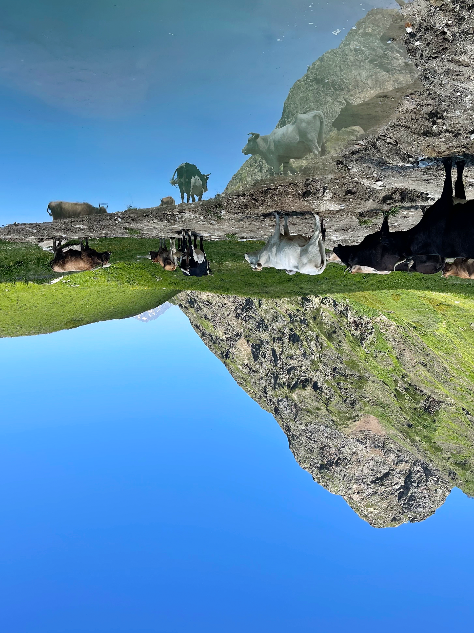 Shifting Dimensions 4 / Aibga Ridge, 2021