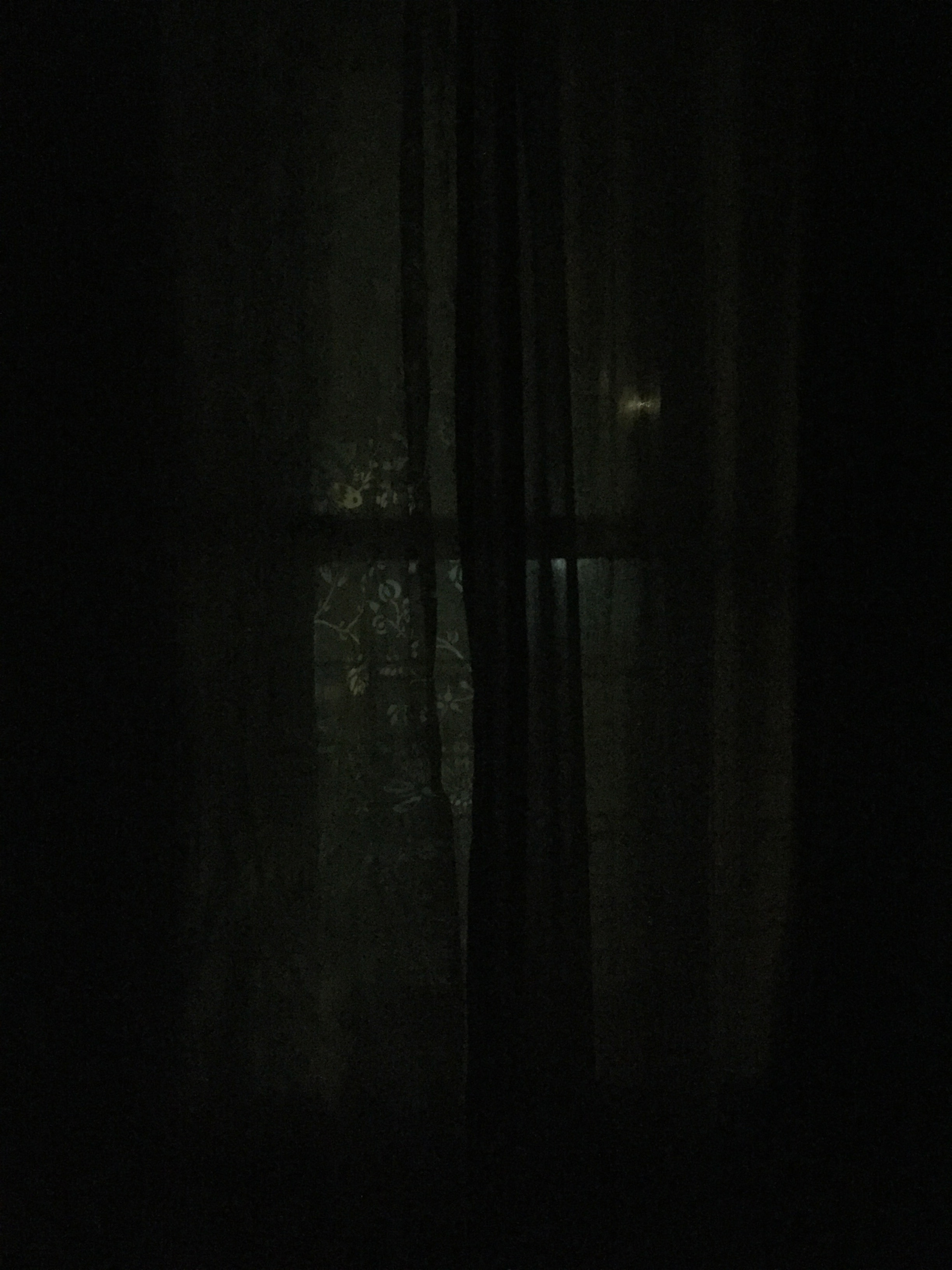 INSIDE (5) / Prospect Lefferts Gardens, Brooklyn / 2019