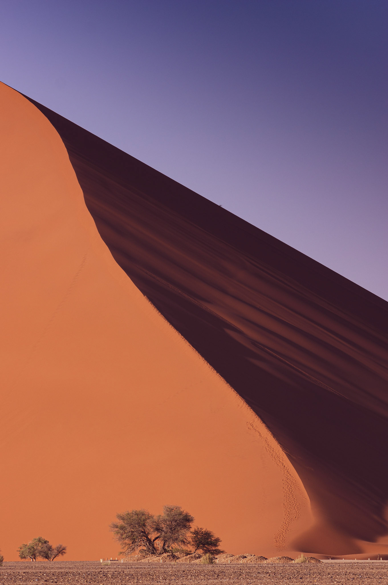 Avant de parcourir la Namibie je ne réalisais pas que le désert pouvait revêtir autant de formes différentes, depuis le désert rocailleux aux gigantesques dunes, depuis les températures les plus extrêmes aux températures les plus fraîches.Voici ici le lieu le plus iconique de la Namibie, Sossusvlei avec 2 des plus hautes dunes au monde, Big Mama et Big Daddy, chacune culminant à plus de 300m.