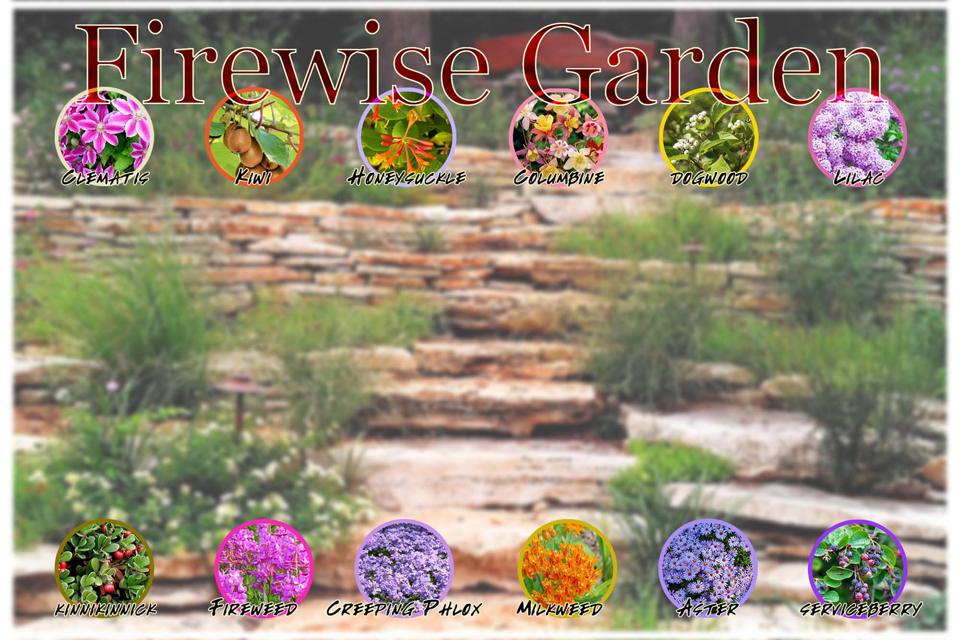 Planting guide interface for website