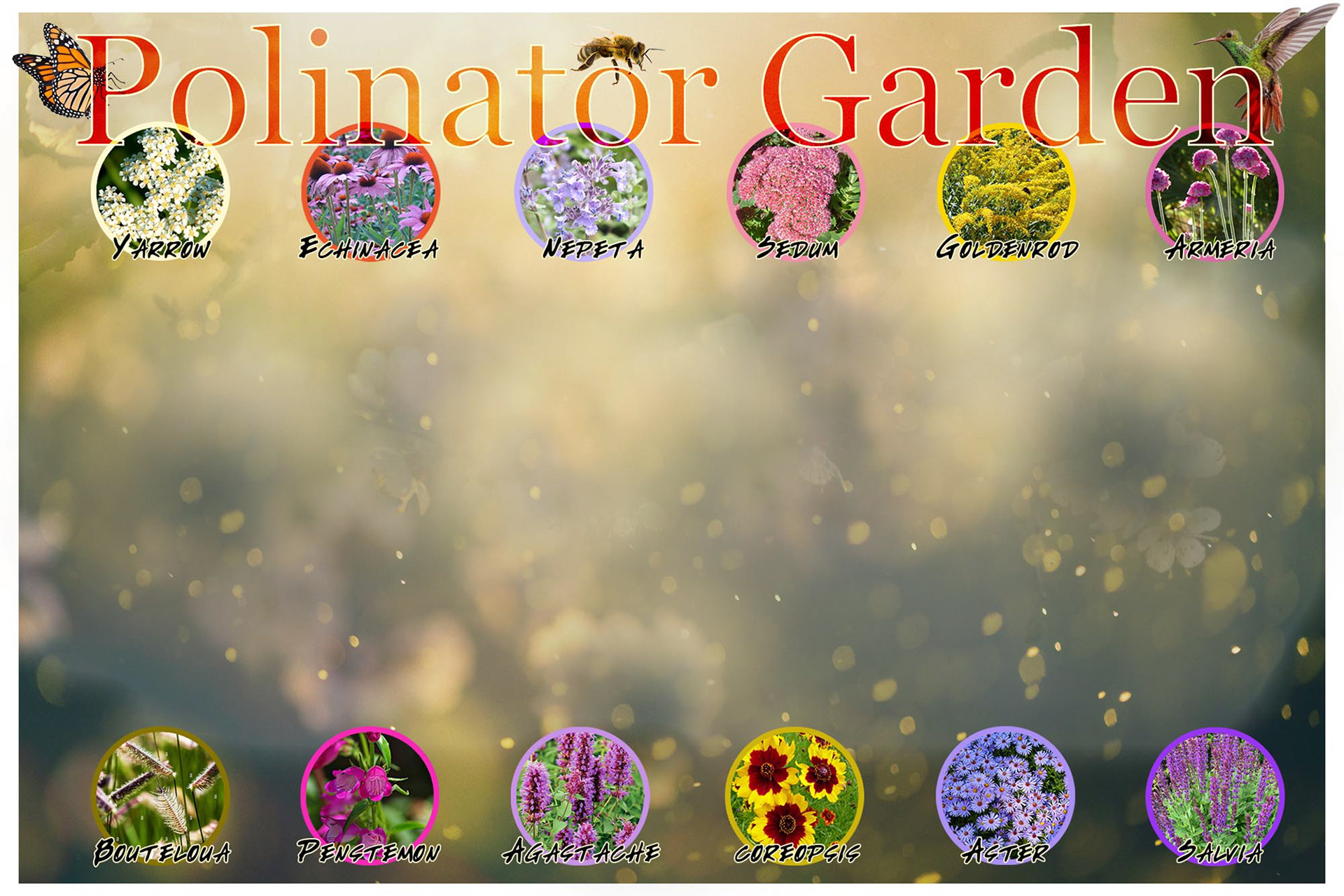 Planting guide interface for website