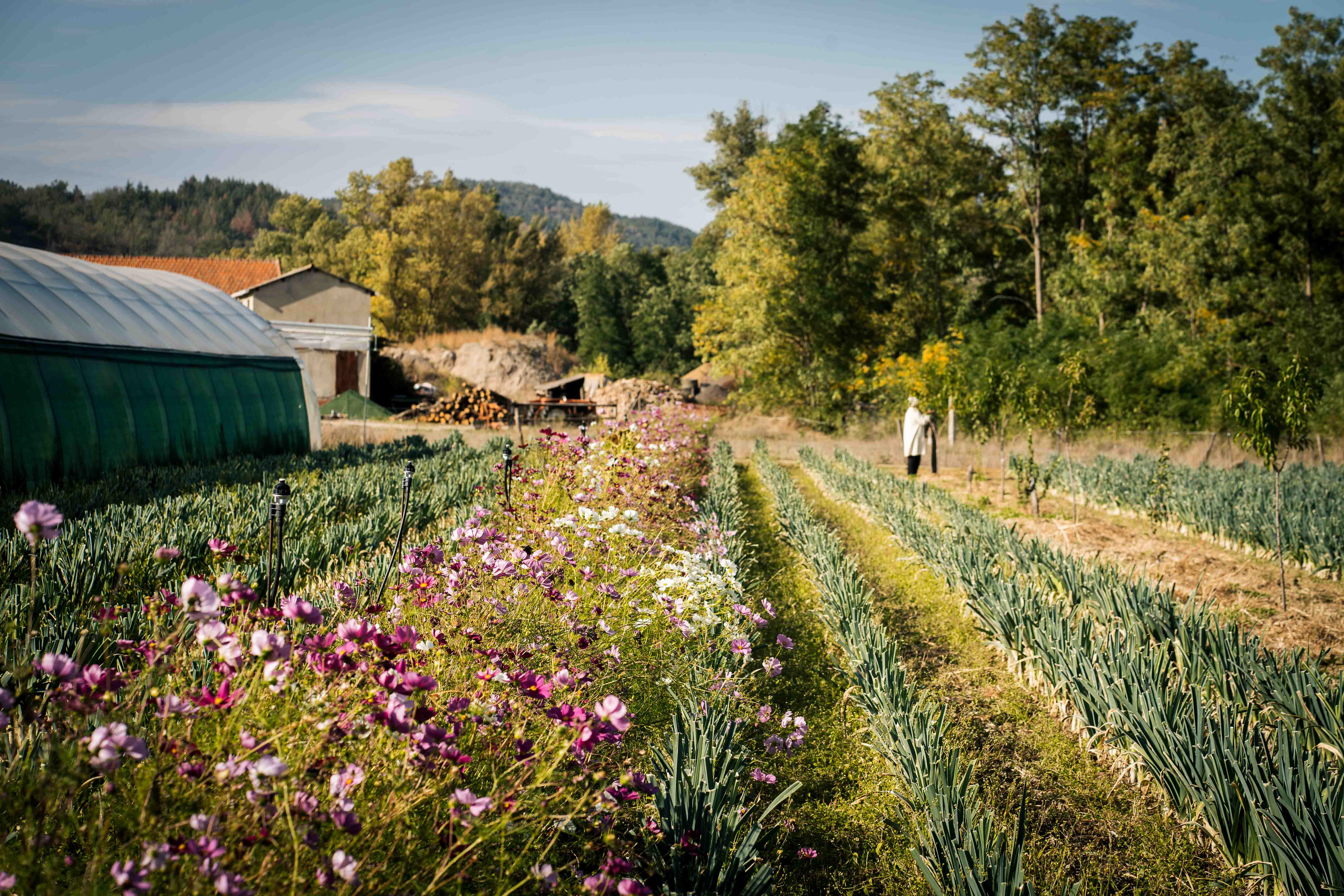 Reportage aux Ateliers de La Bruyère, Langeac