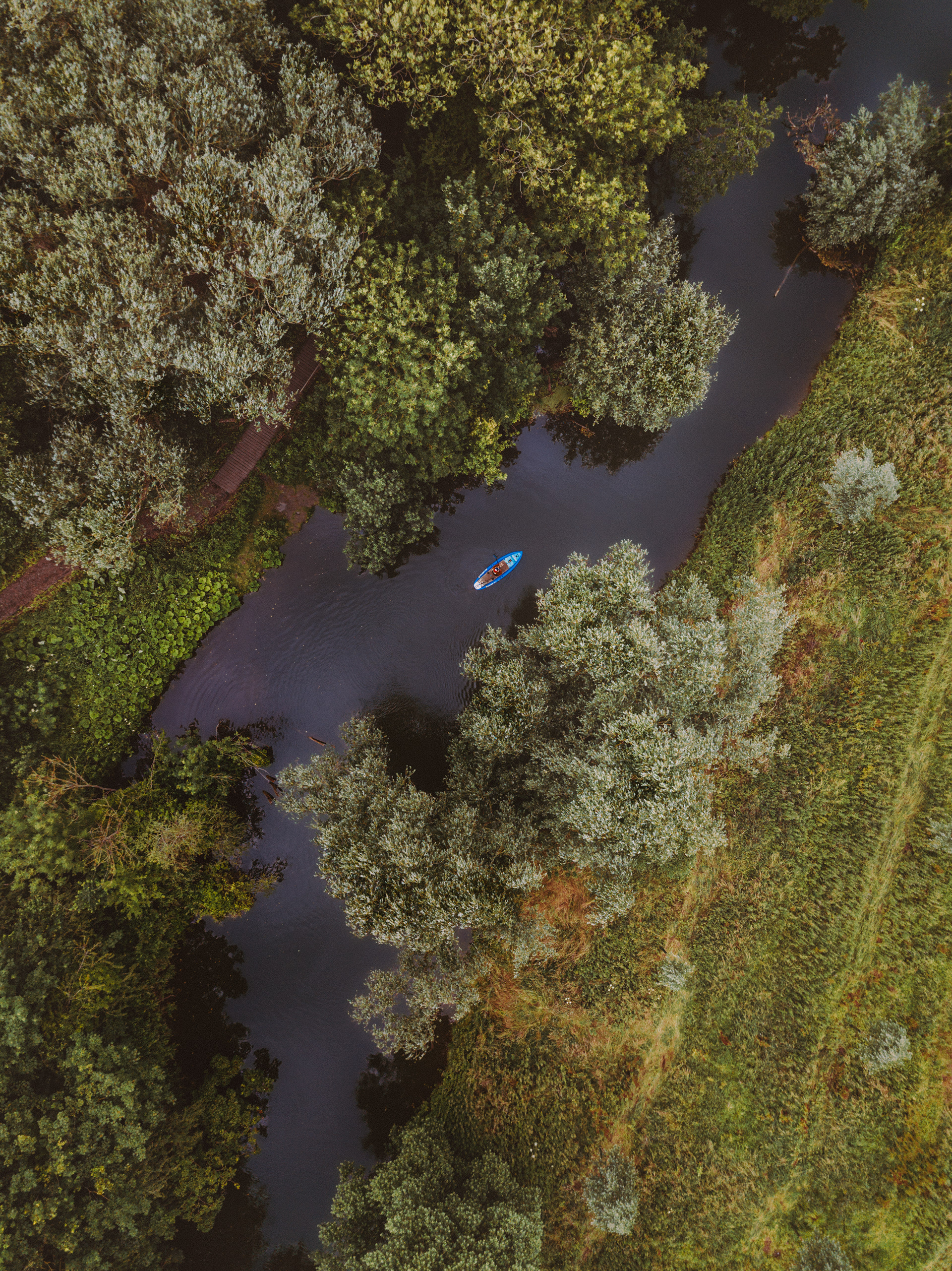 Top-down aerial photography print of a paddle boarding exploring river Cam in Cambridge