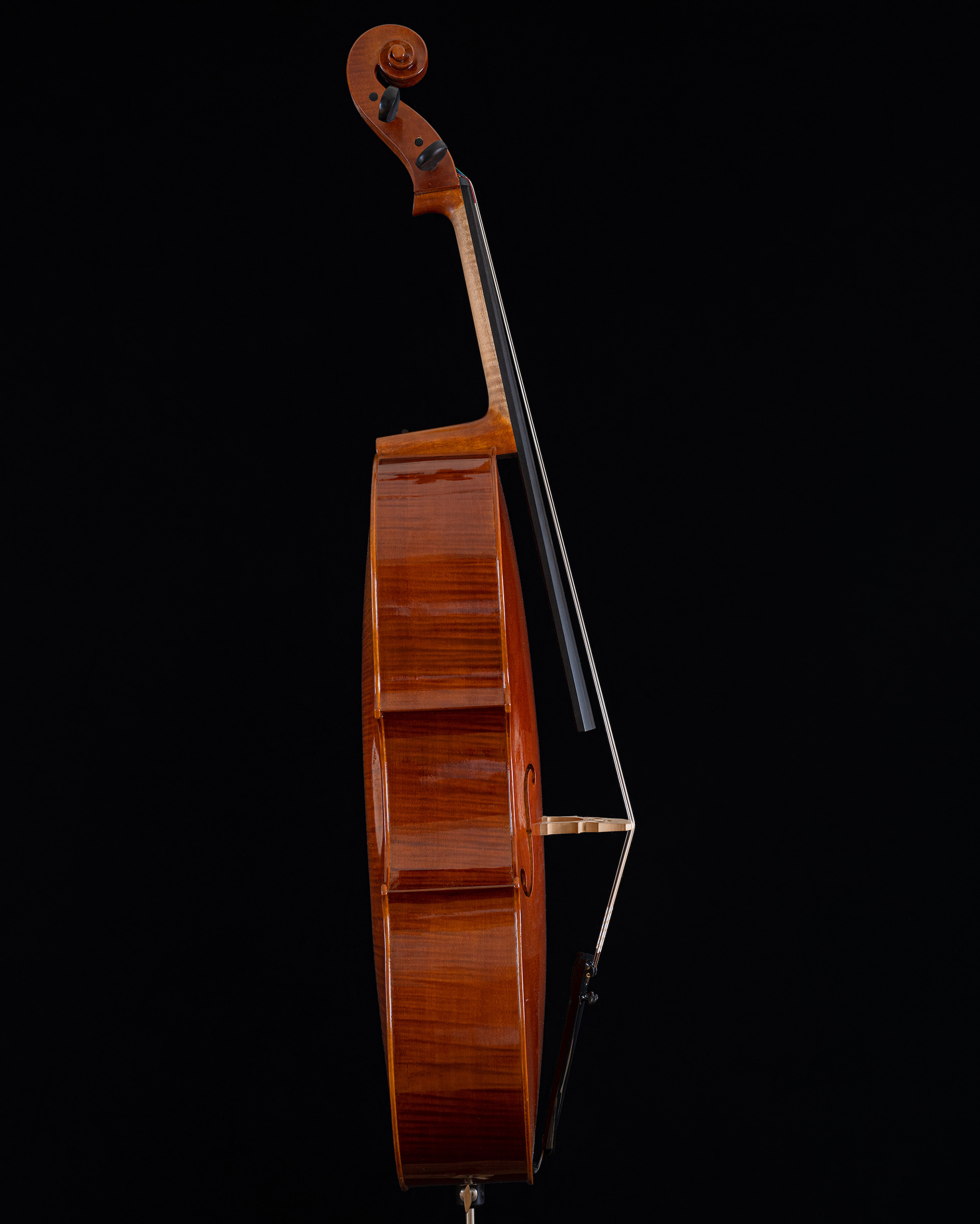 Violoncelle - DMA lutherie - Workshop photographie juin 2021 - lycée JB Wuillaume - Mirecourt