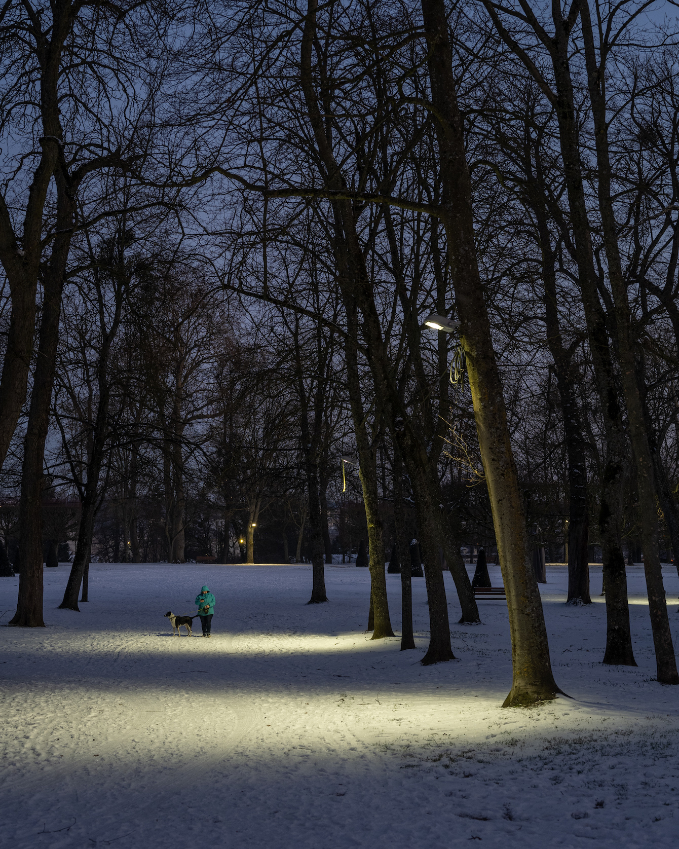 En passant par le parc