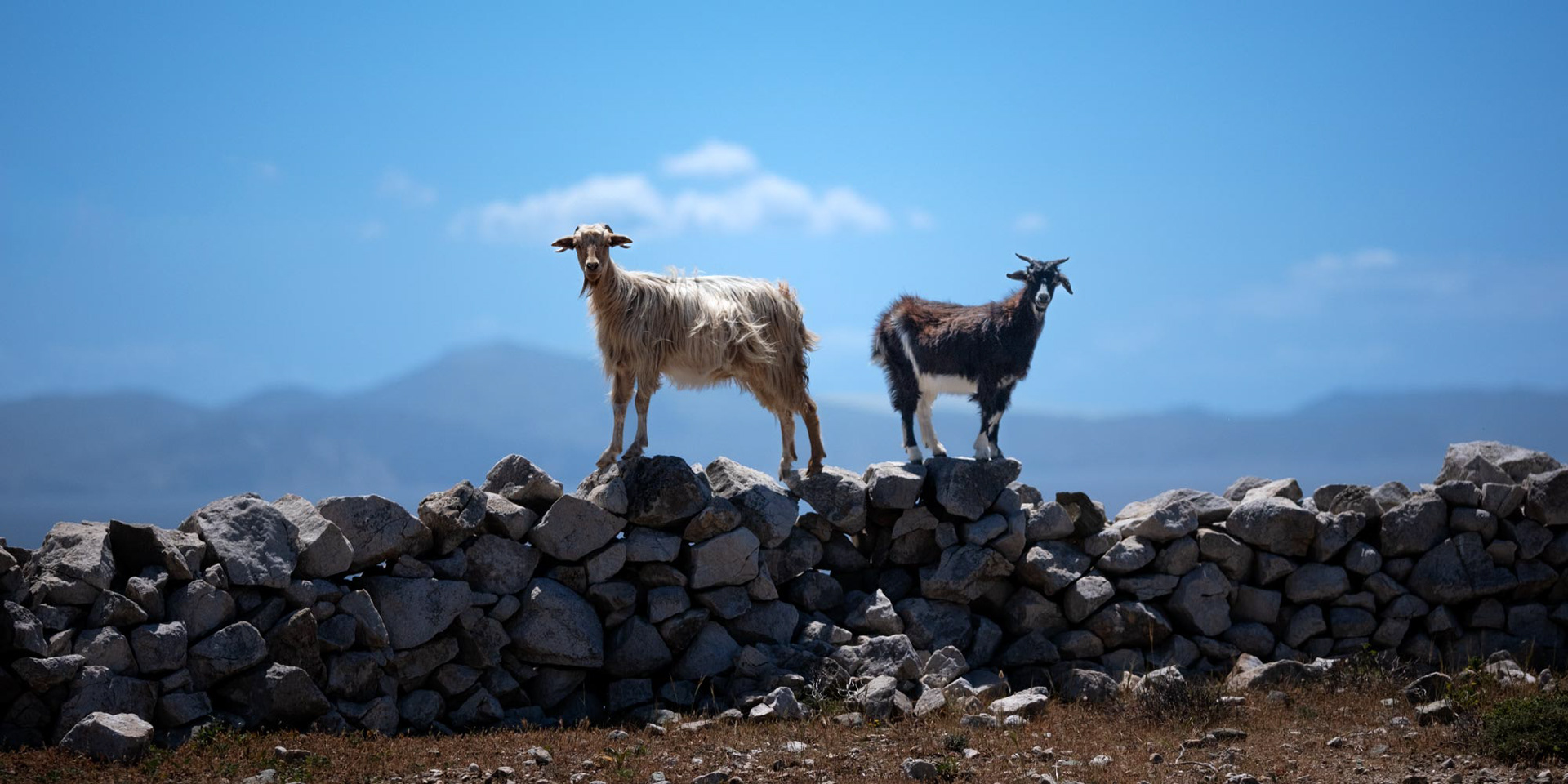 Mesaria, Donoussa - April 2024