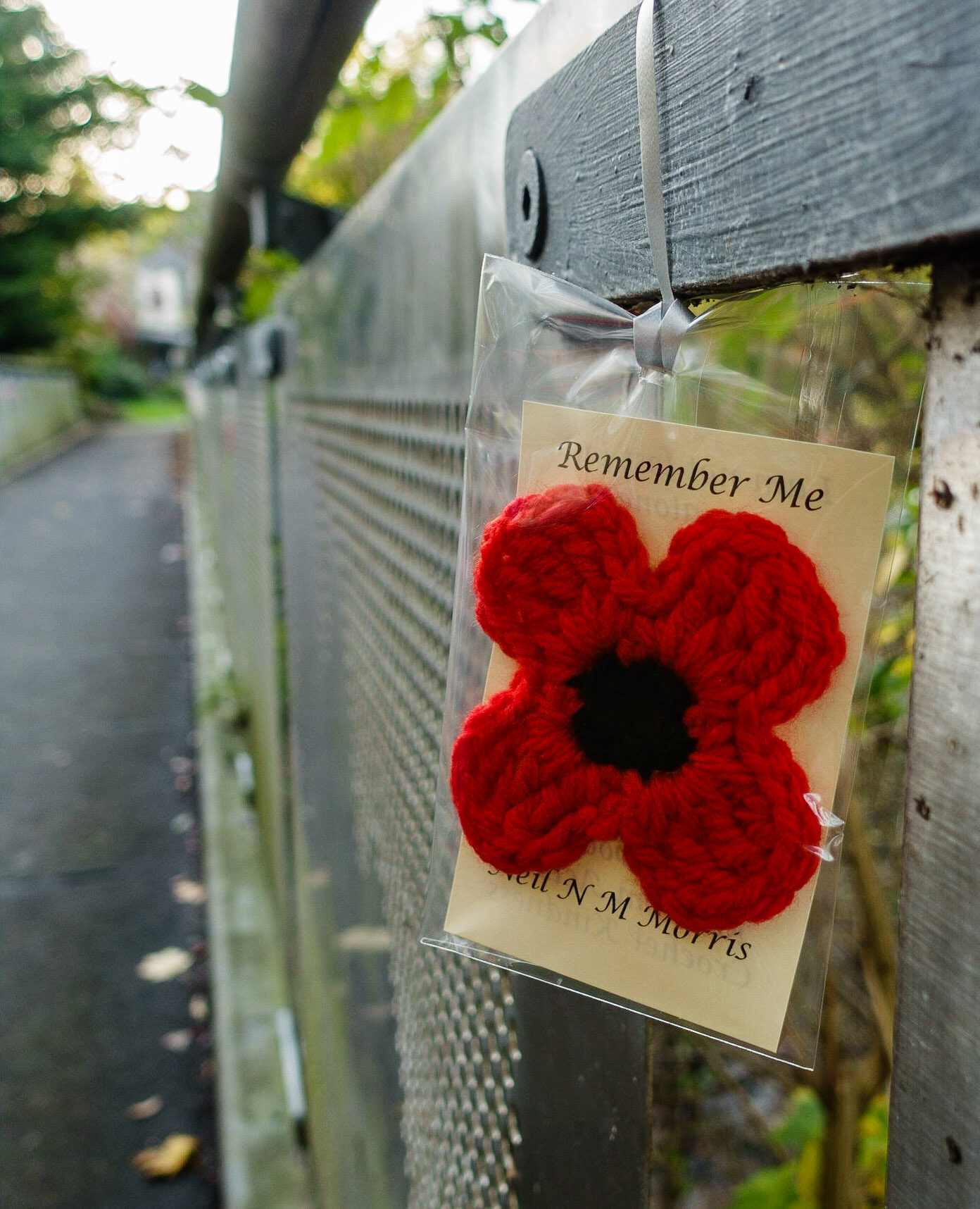 "Random acts of crochet kindness" for Remembrance Day, Lasswade, 2021