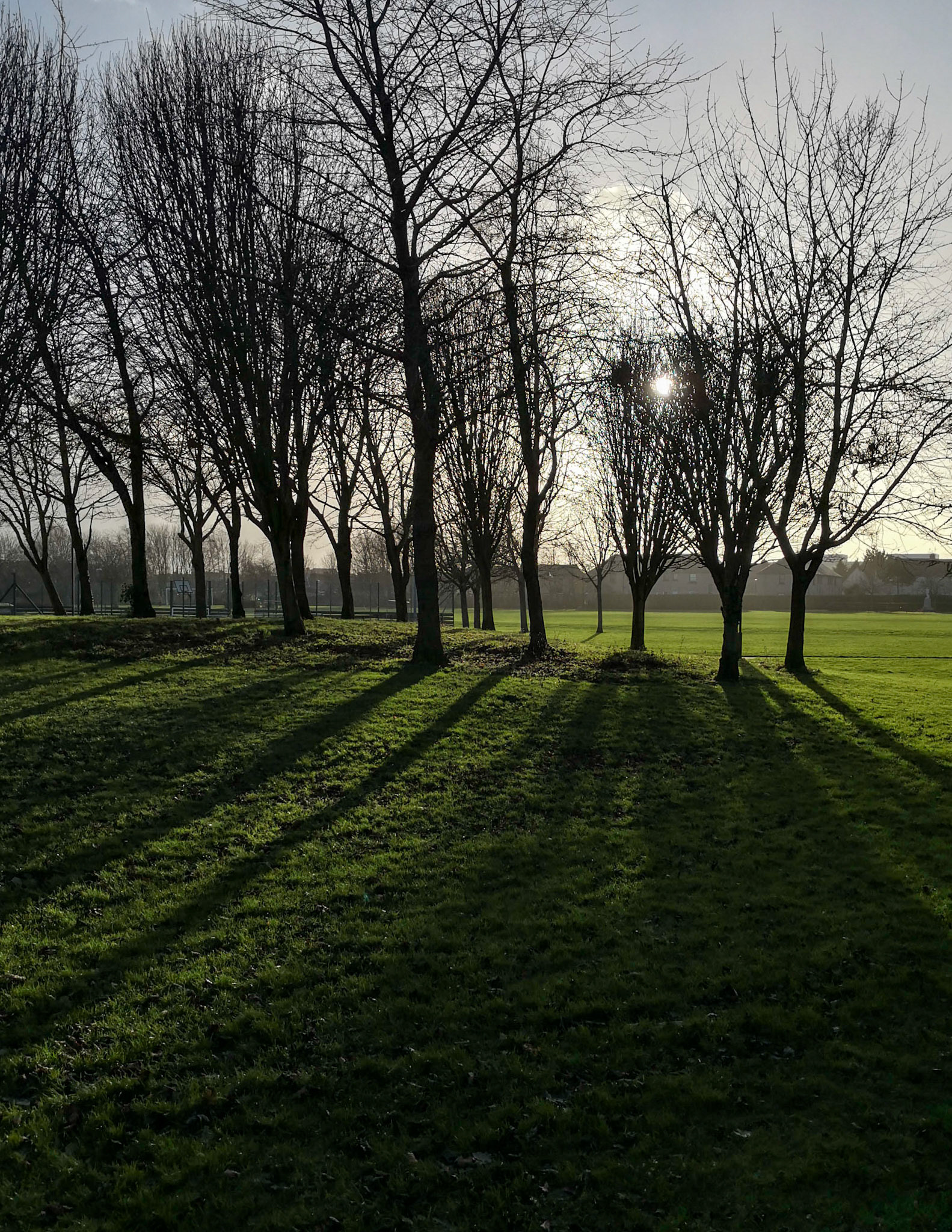 King George V Park, Bonnyeigg, 2022