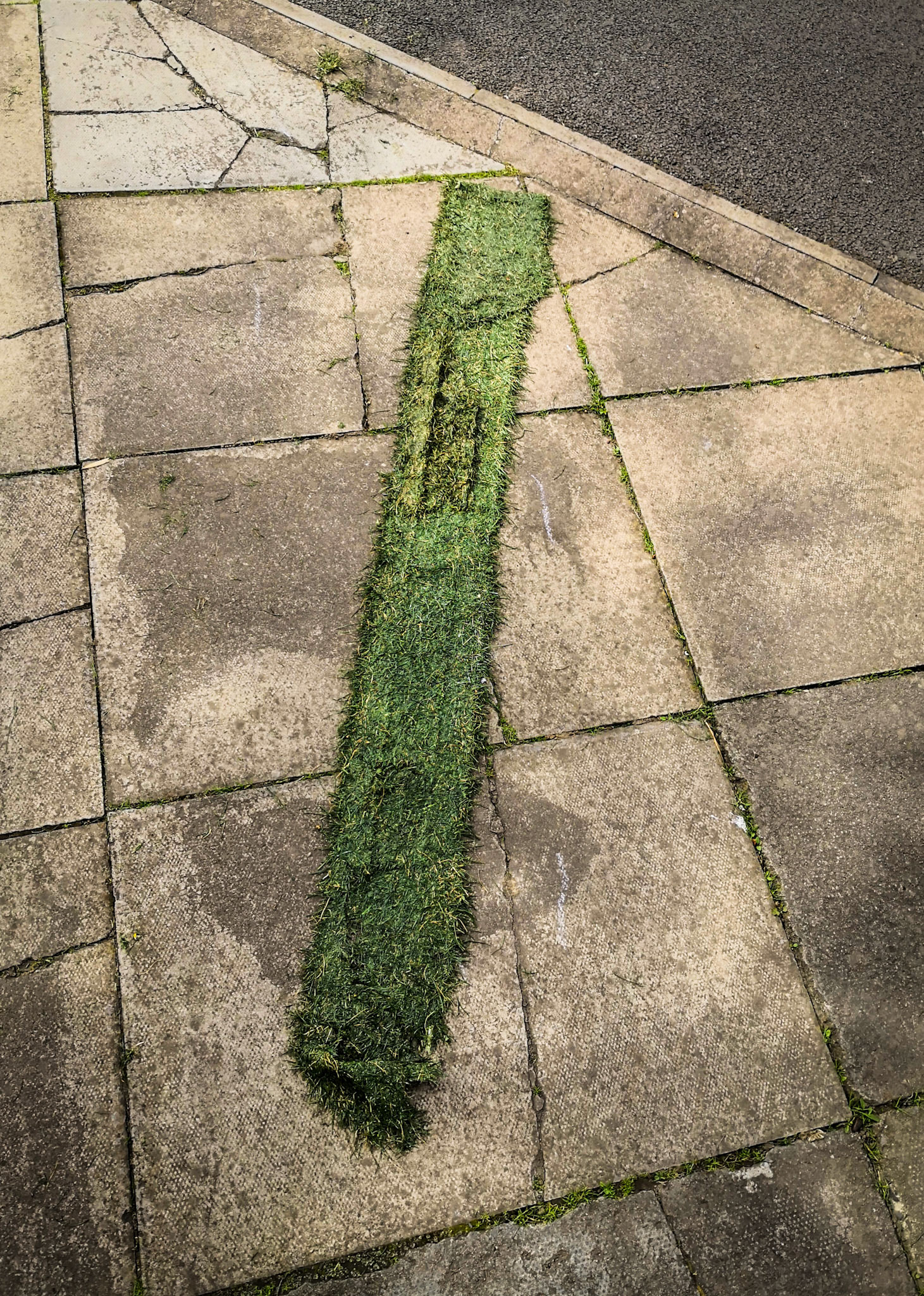 Bonnyrigg, Midlothian, 2019