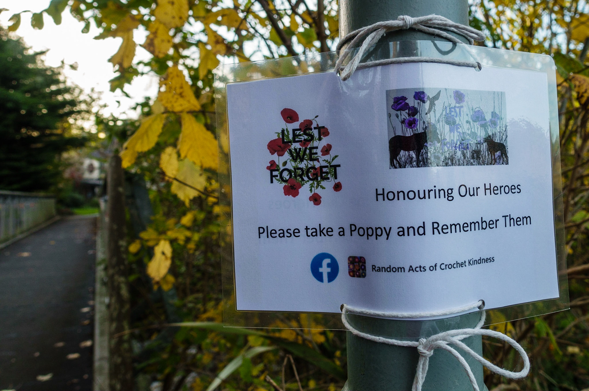 "Random acts of crochet kindness" for Remembrance Day, Lasswade, 2021