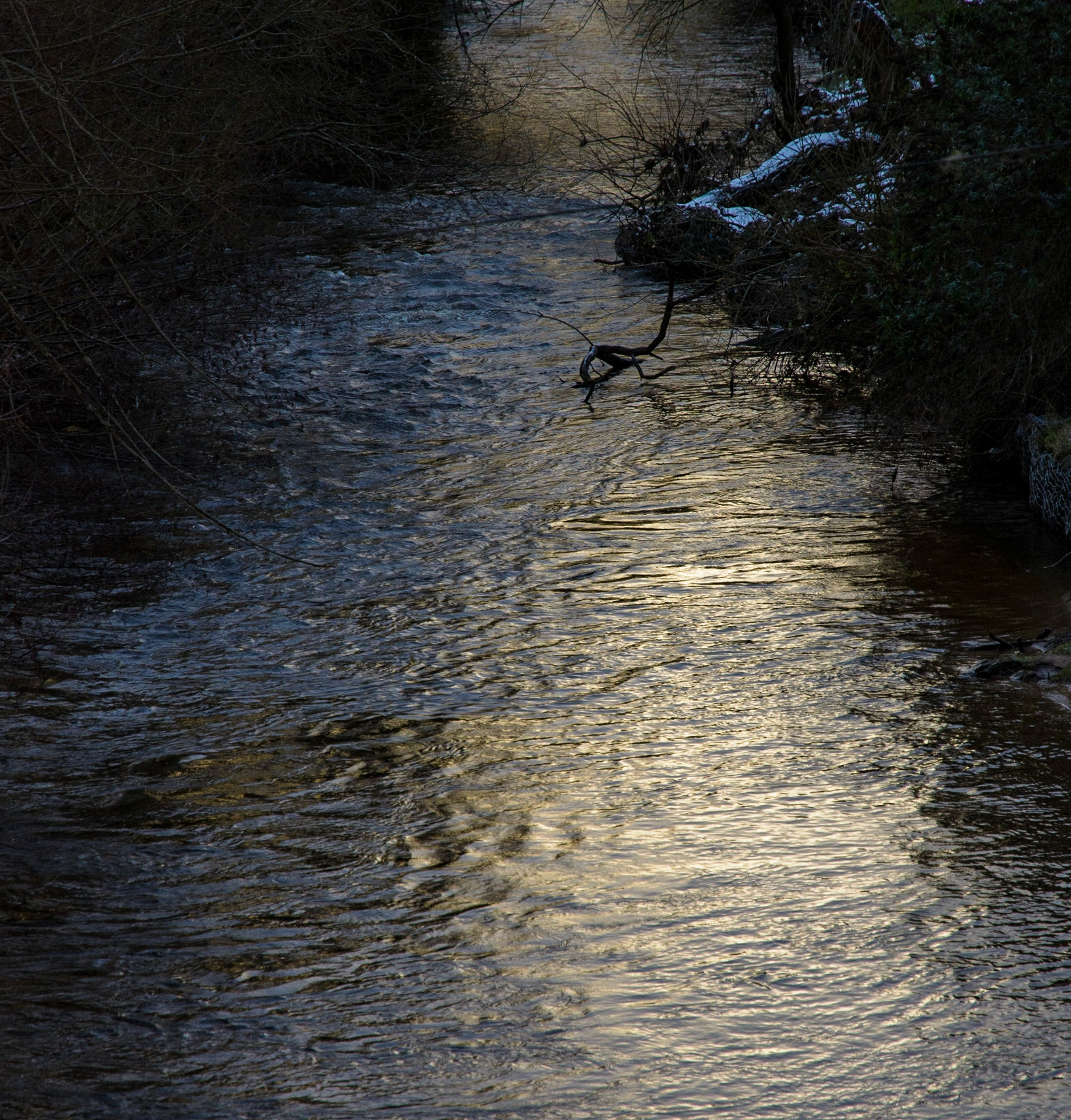 River North Esk at Lasswade, 2020
