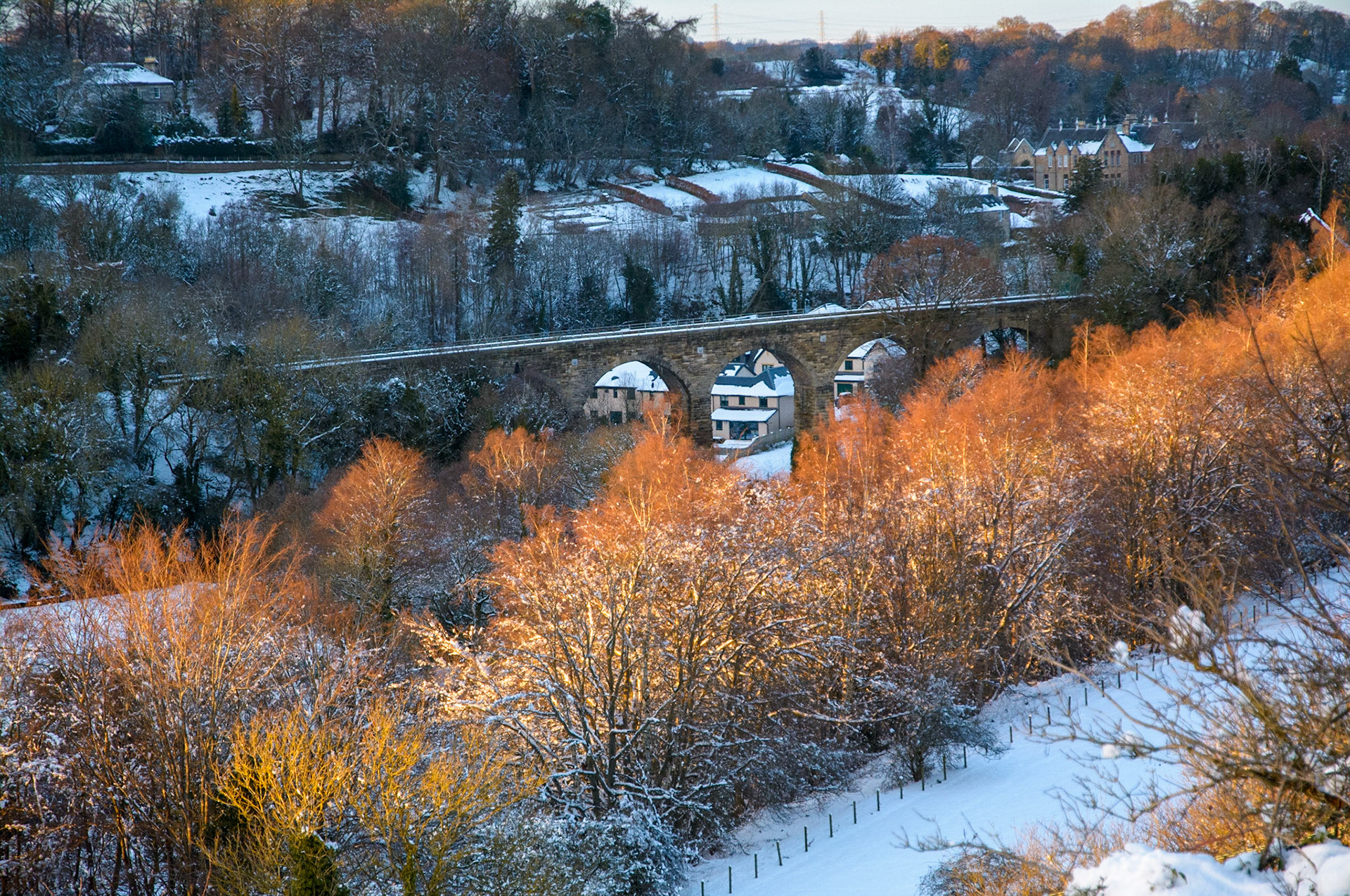 Sunset light on trees, Lasswade Viaduct, 2021