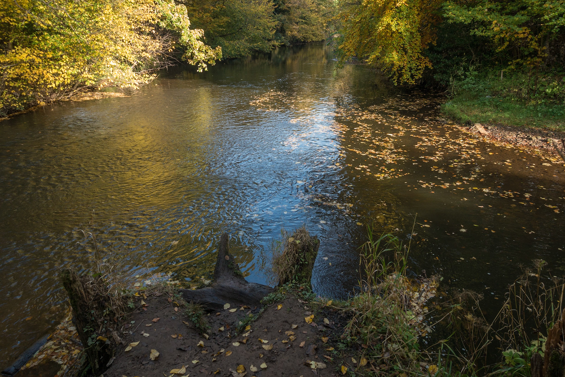 The Meeting of the Waters (the Rivers North and South Esk), Dalkeith Country Park, 2016