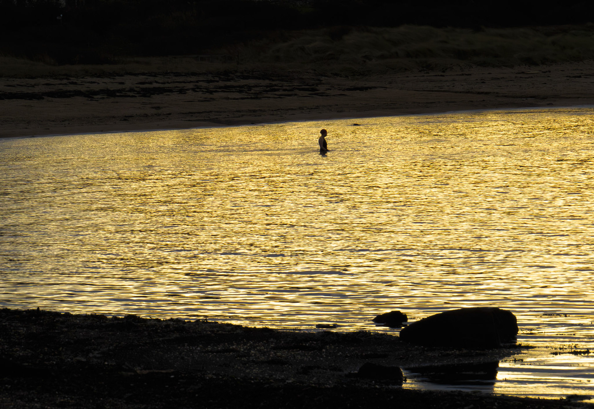 Swimmer, Longniddry Bents, 2024