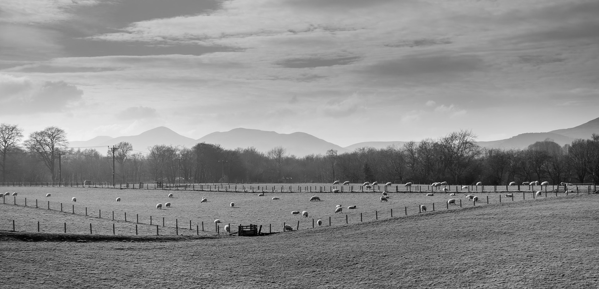 Dryden Farm and the Pentland Hills, Roslin, 2025