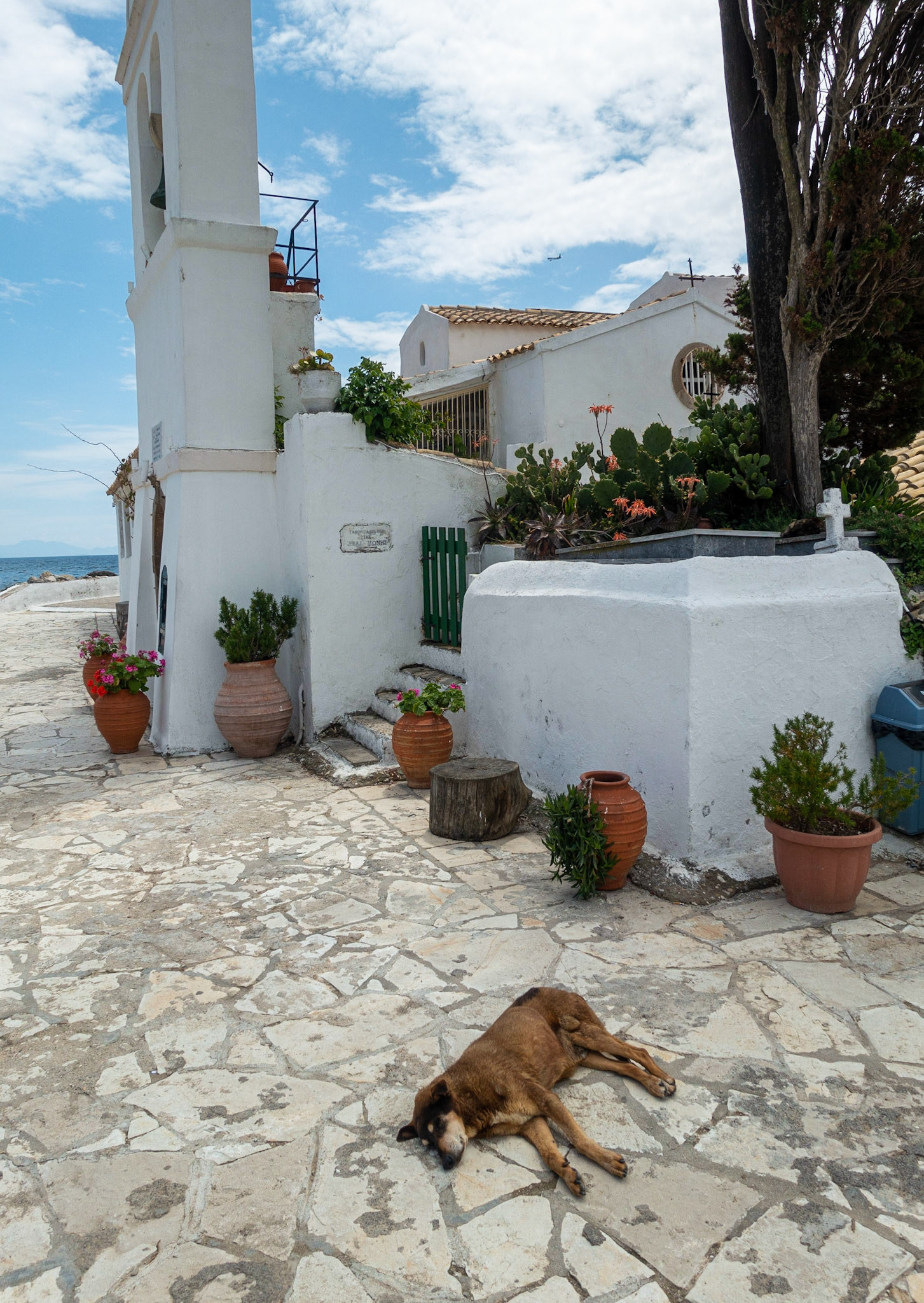 Dog-tired, Church of Panagia Vlacherna, Kanoni, Corfu, 2019