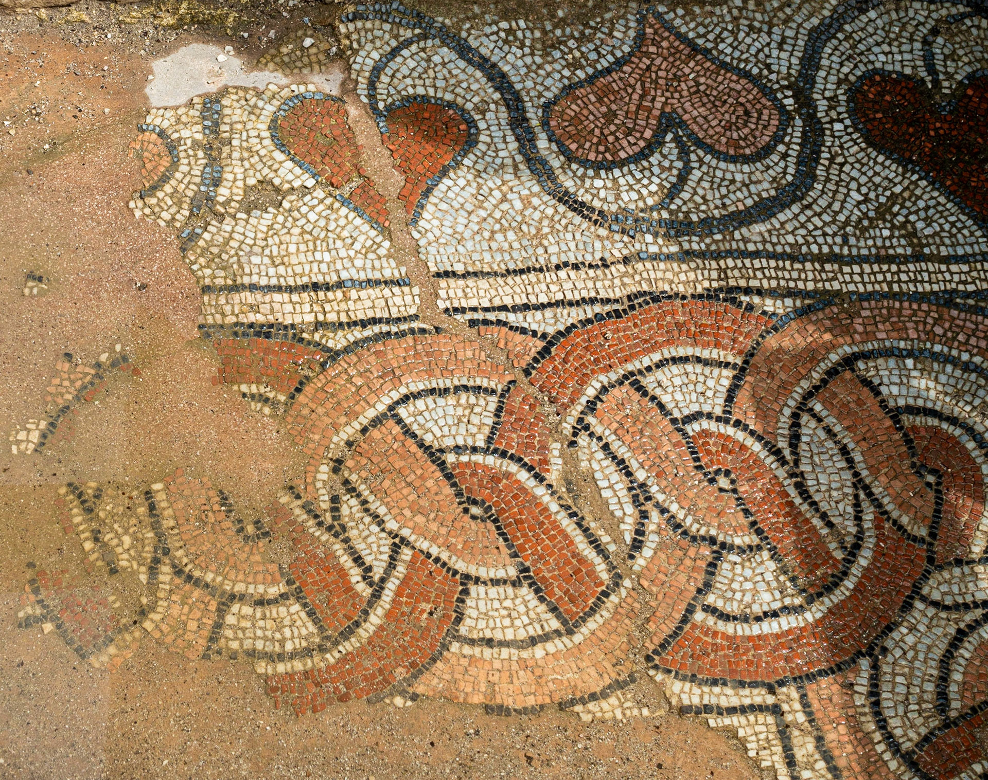 Mosaic, Butrint, Albania, 2019