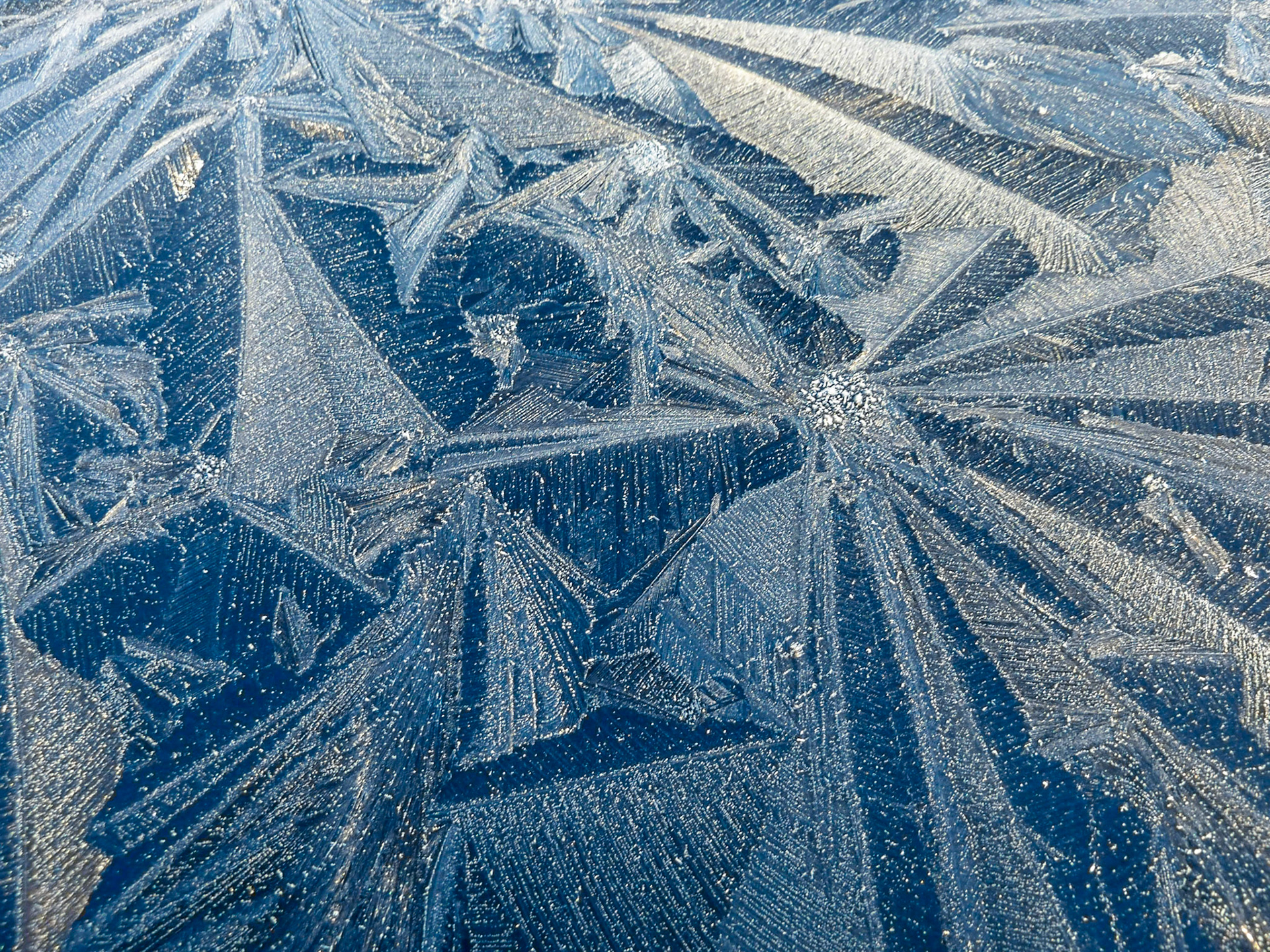 Frostscape, Broomieknowe, Lasswade, 2012