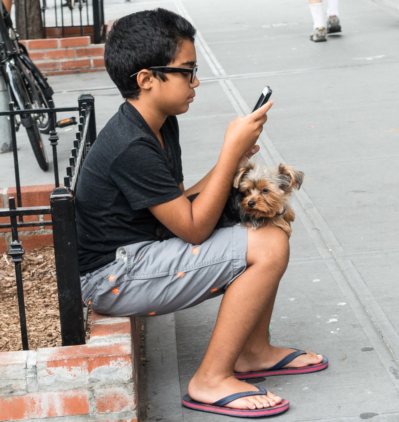 Boy and Dog, New York, 2016