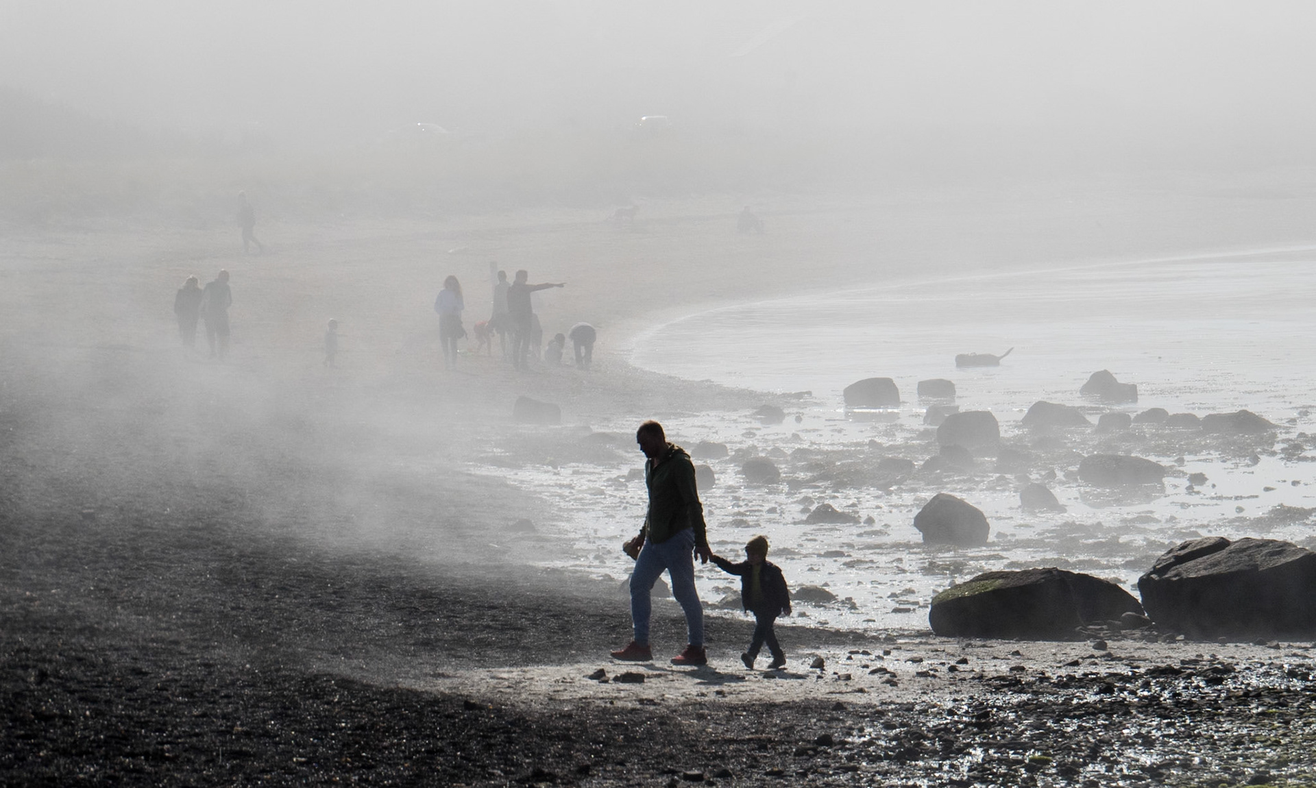 Misty morning at Longniddry Bents, 2022