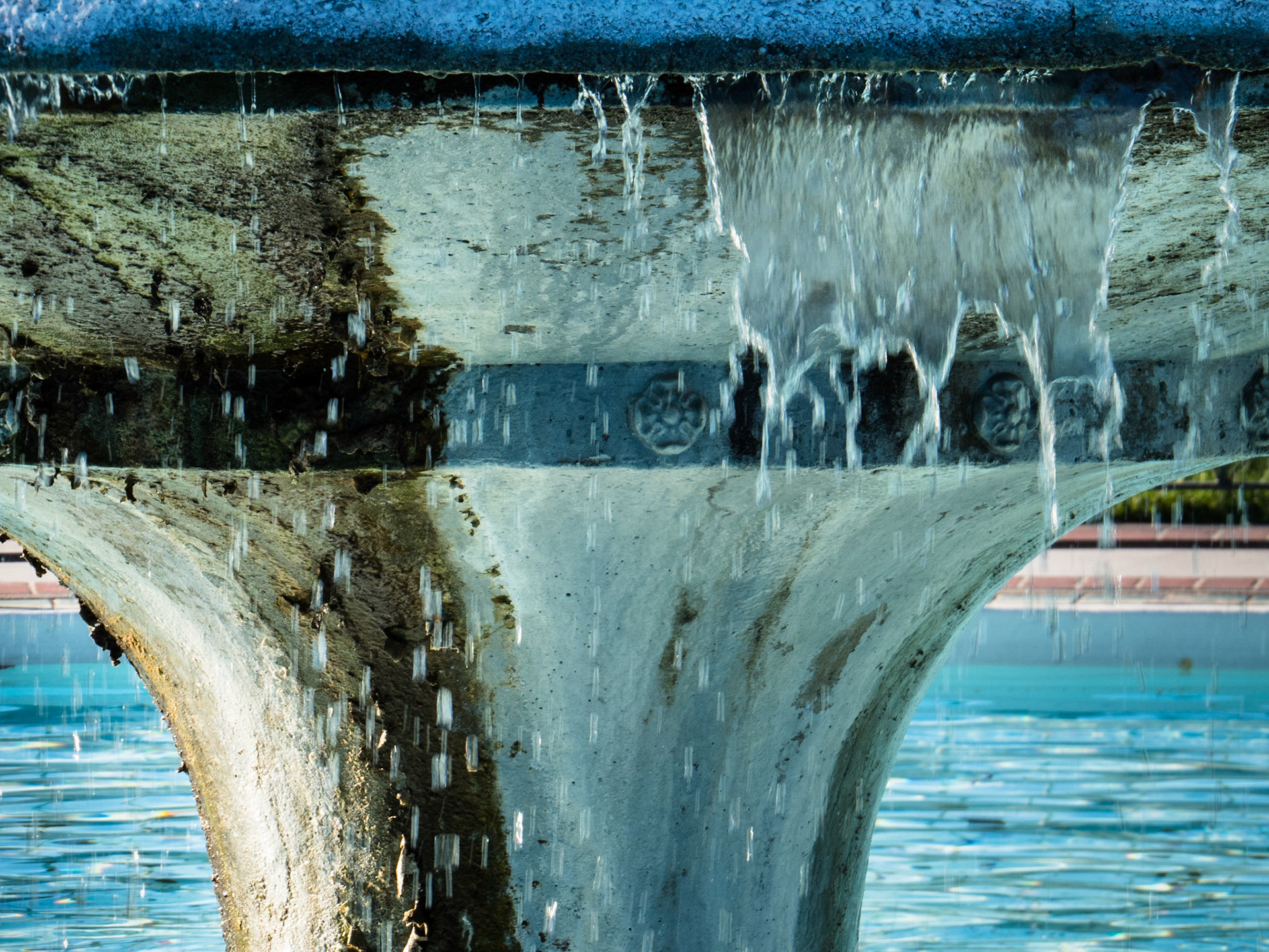 Fountain, San Jose Municipal Rose Garden, 2013
