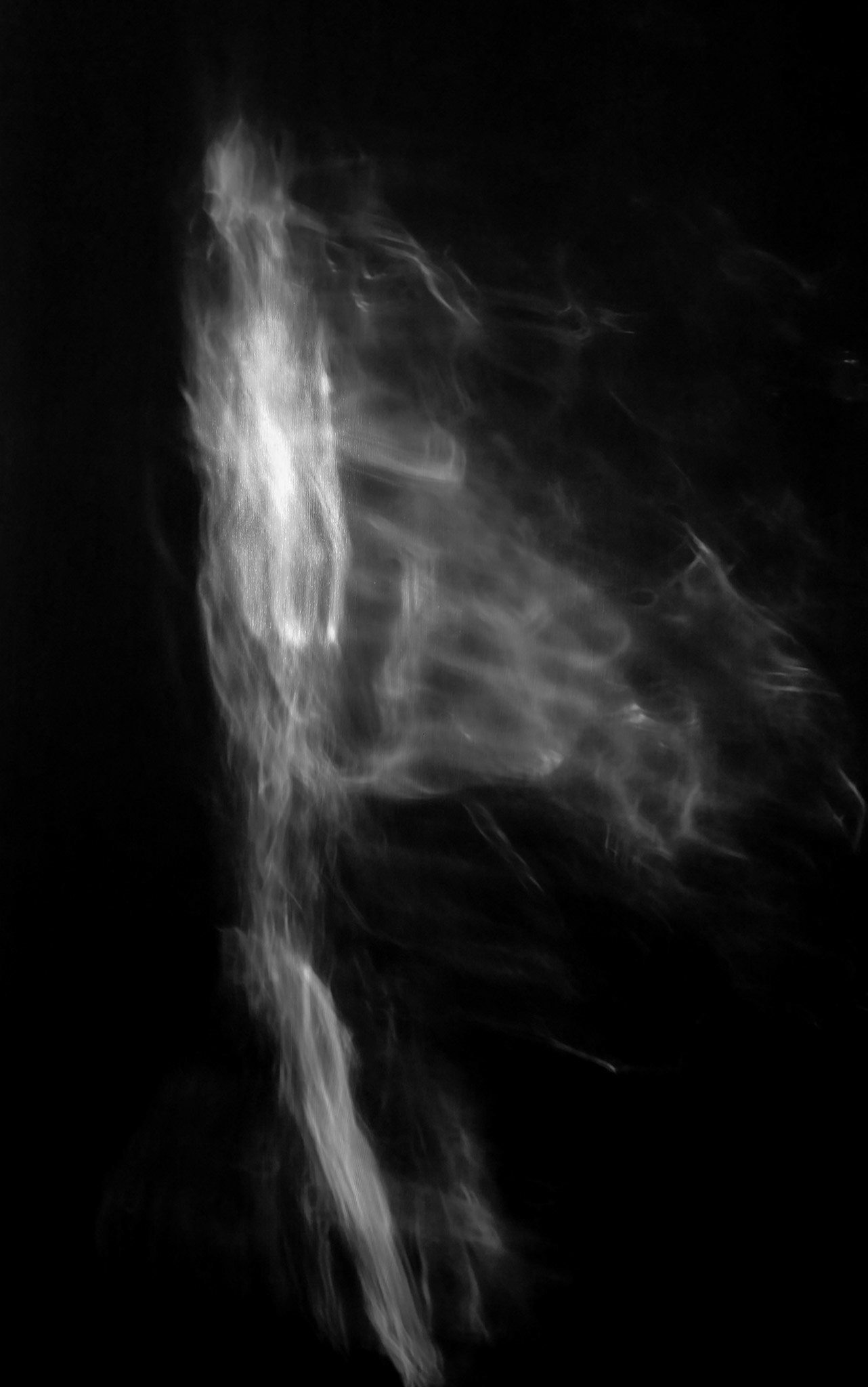 Light pattern, Janebank, 2020