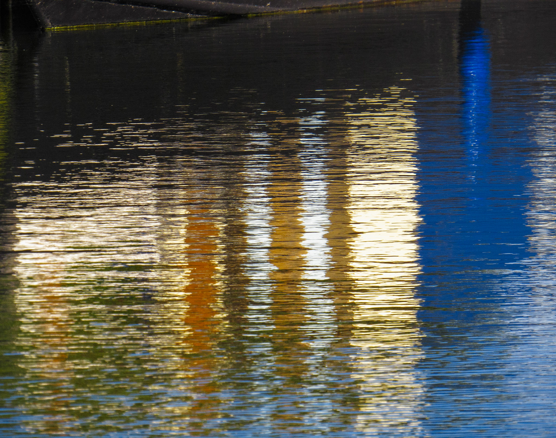 Reflections, Helix Park, 2022