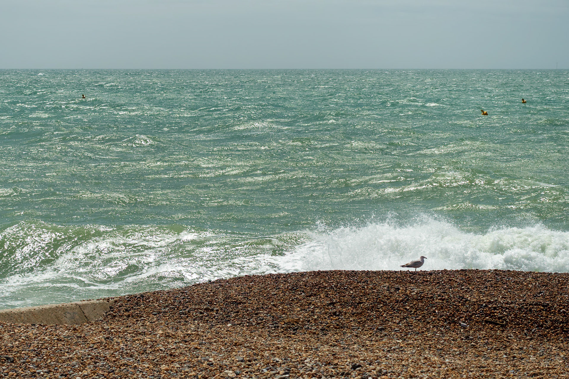Hove Beach, 2025
