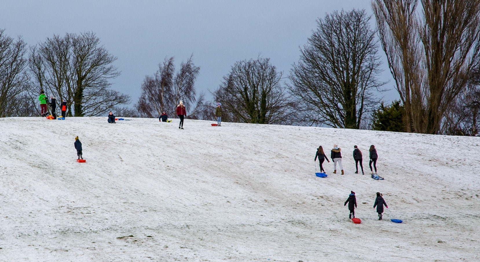 Sledging in King George V Park, Bonnyrigg, 2021
