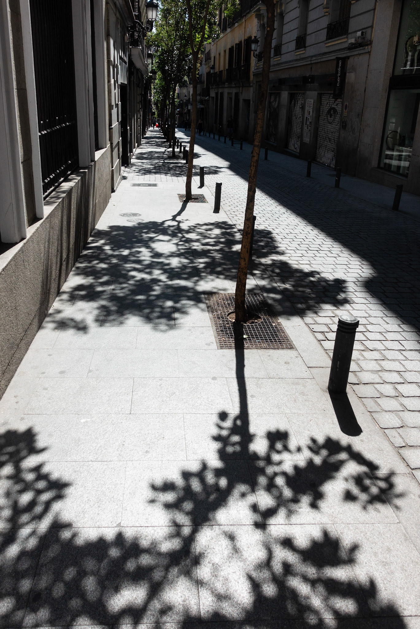 Tree shadows, Madrid, 2018