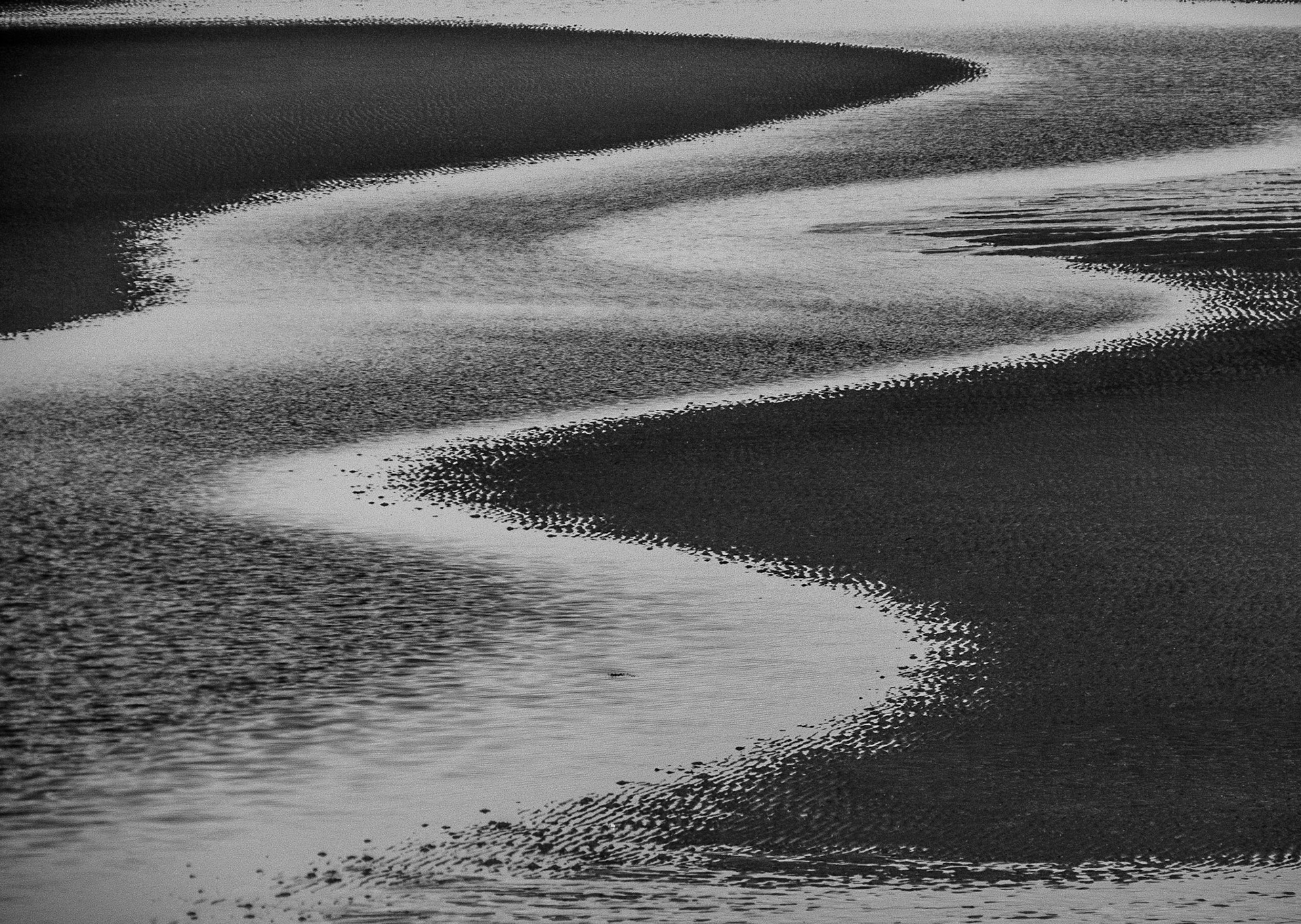 Longniddry Bents, 2022