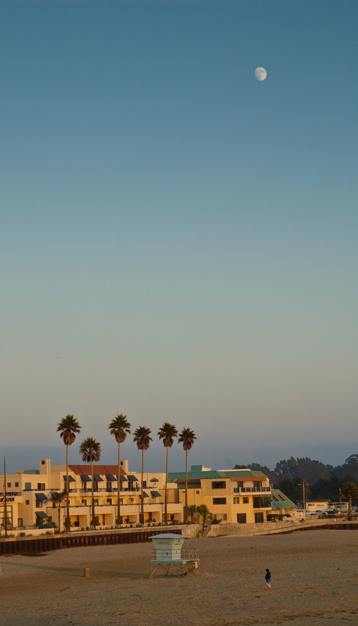 Pismo Beach, California, 2008