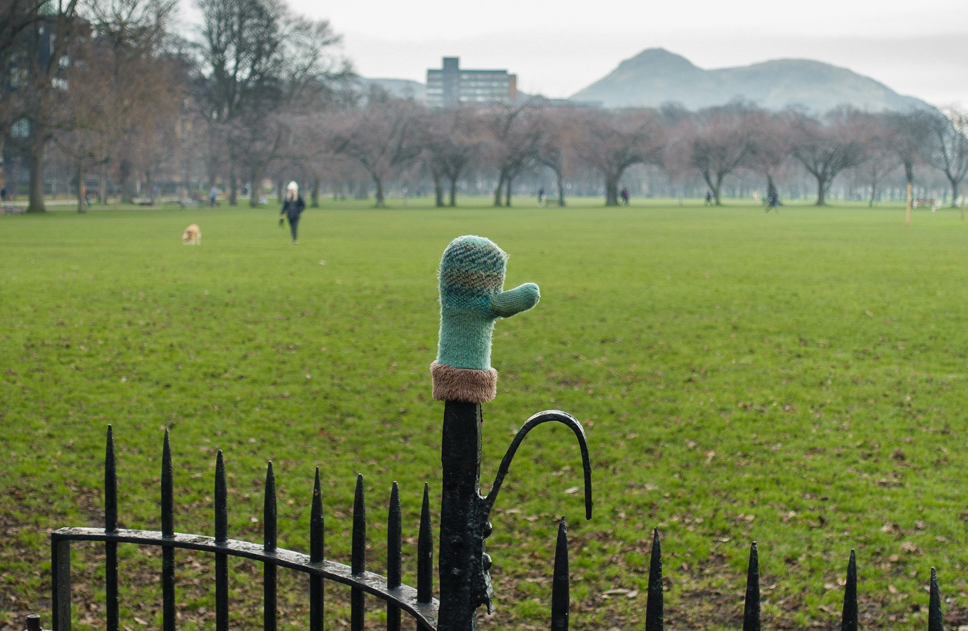 Lost glove, the Meadows, Edinburgh, 2023