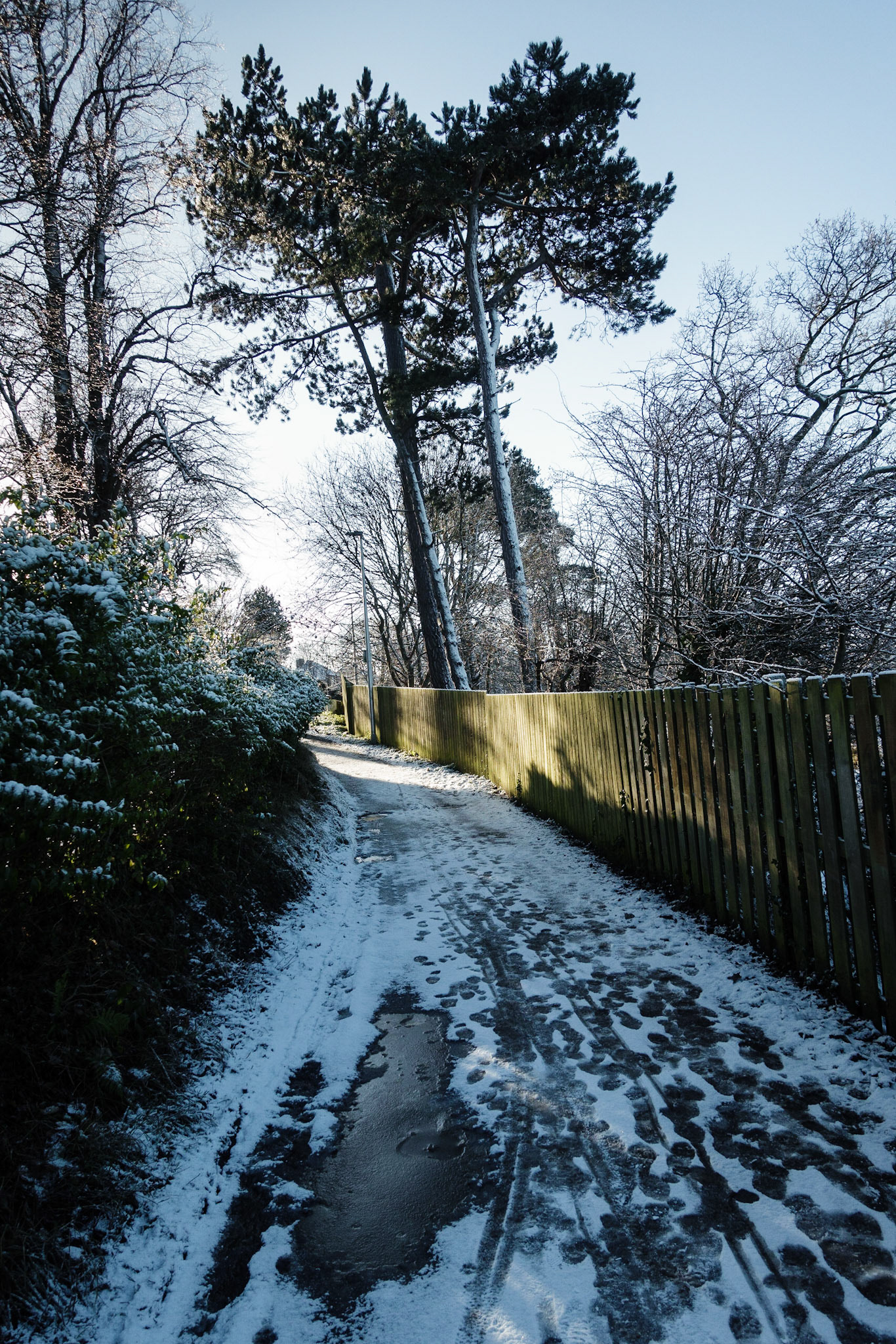Muddy lane in snow, Broomieknowe, 2021