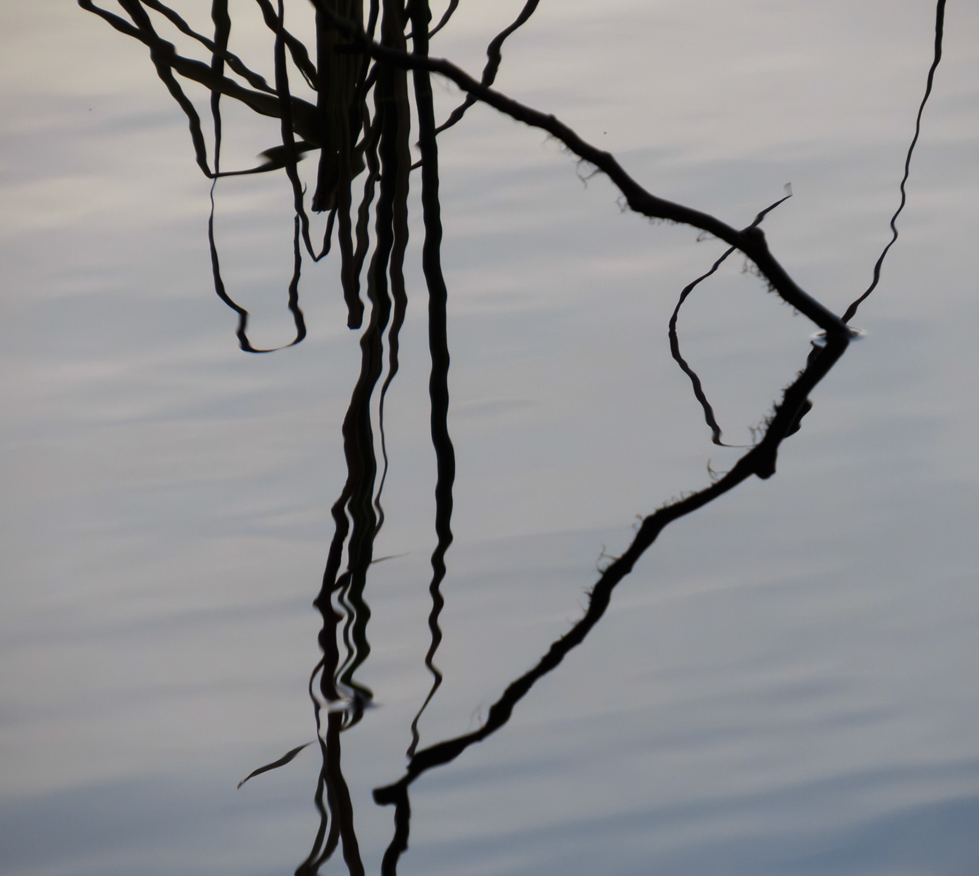Straiton Pond, 2024