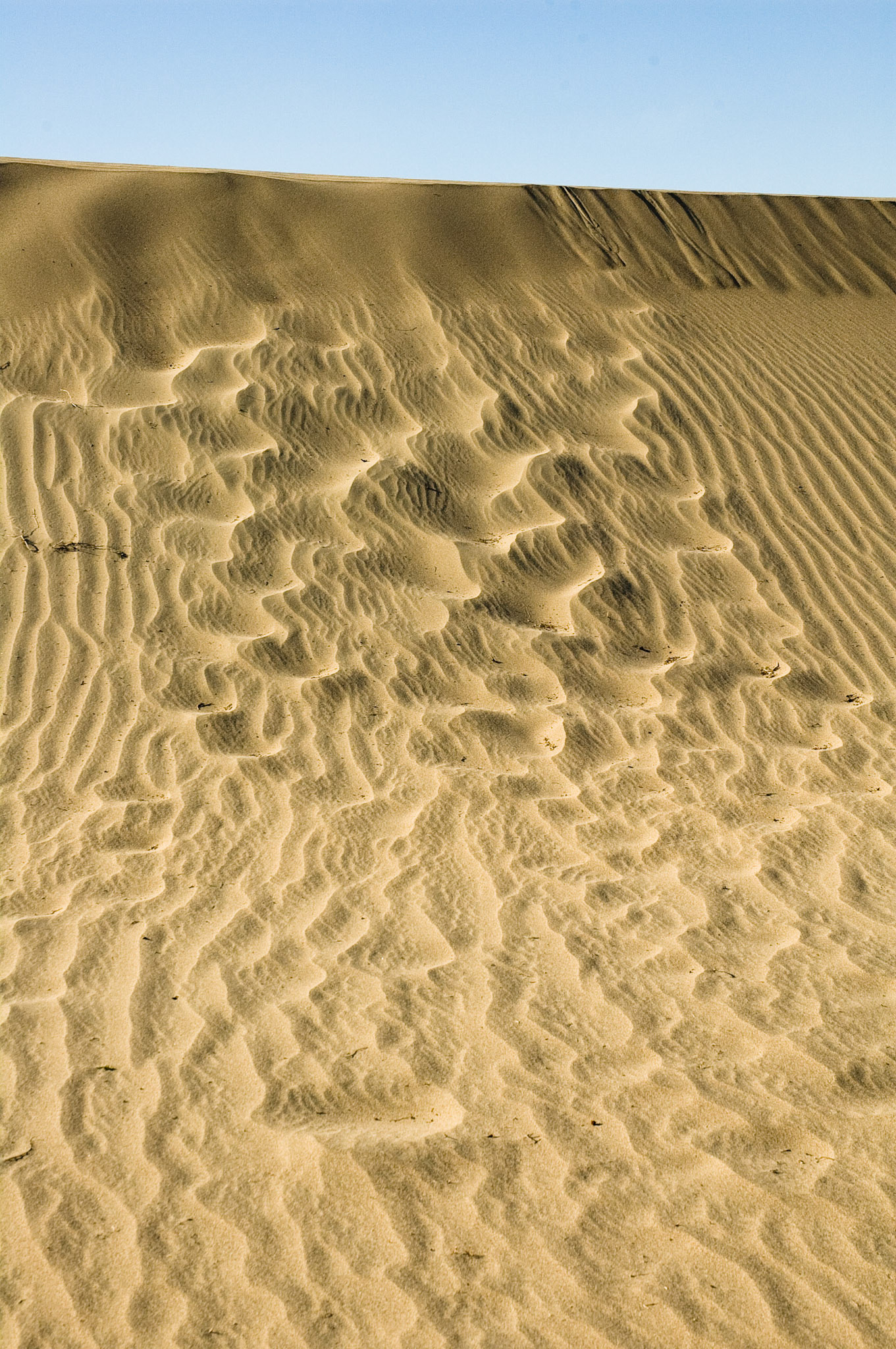 Sand Dunes, Death Valley National Park, California, April 2007