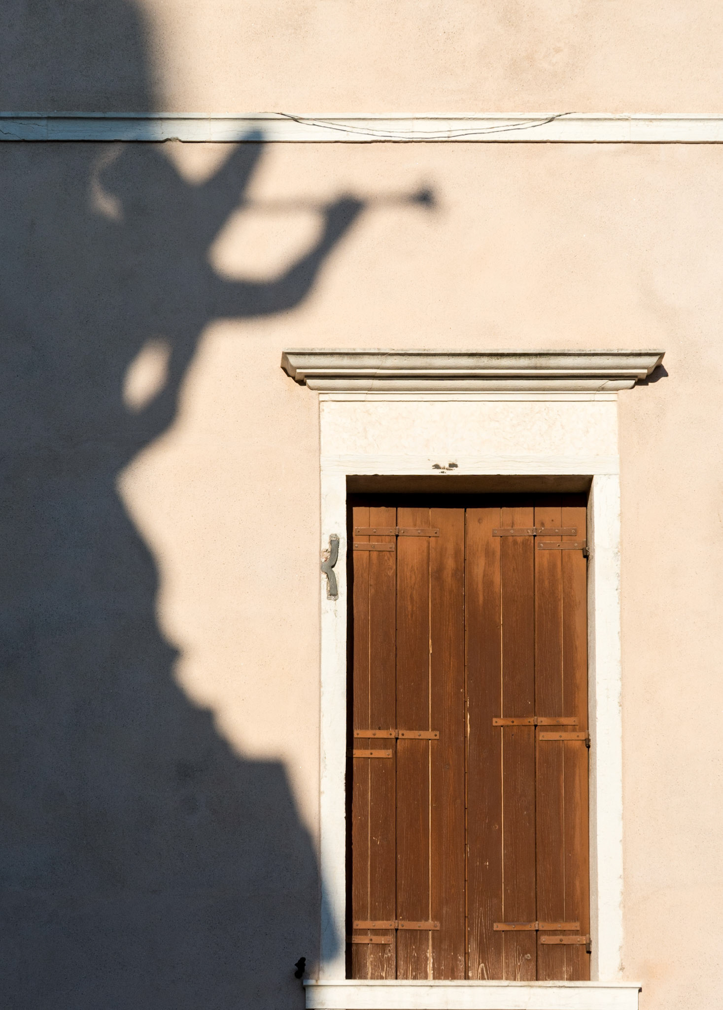 Angel's Shadow, Venice, 2016