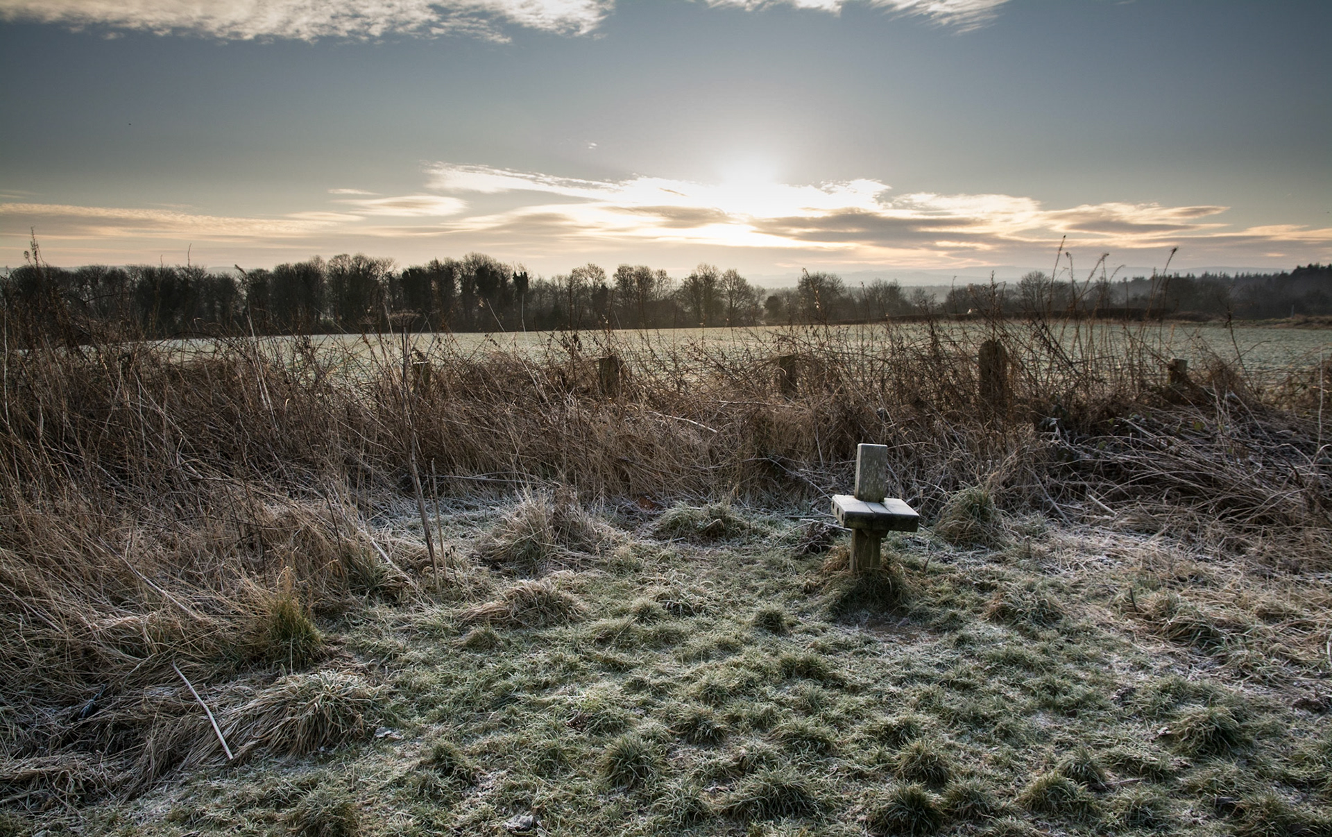 Winter Sunrise, Dalkeith to Penicuik Walkway, Bonnyrigg, Midlothian, 2017