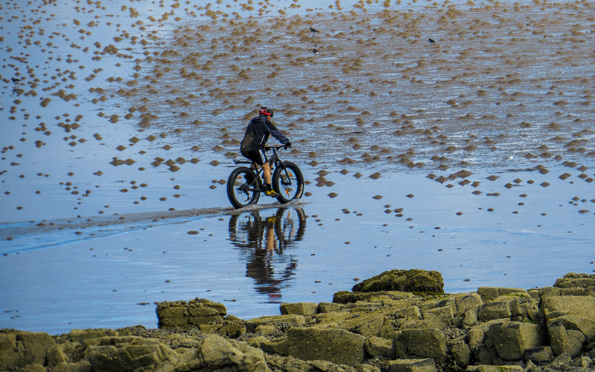 Cyclist, Longniddry Bents, East Lothian, 2021